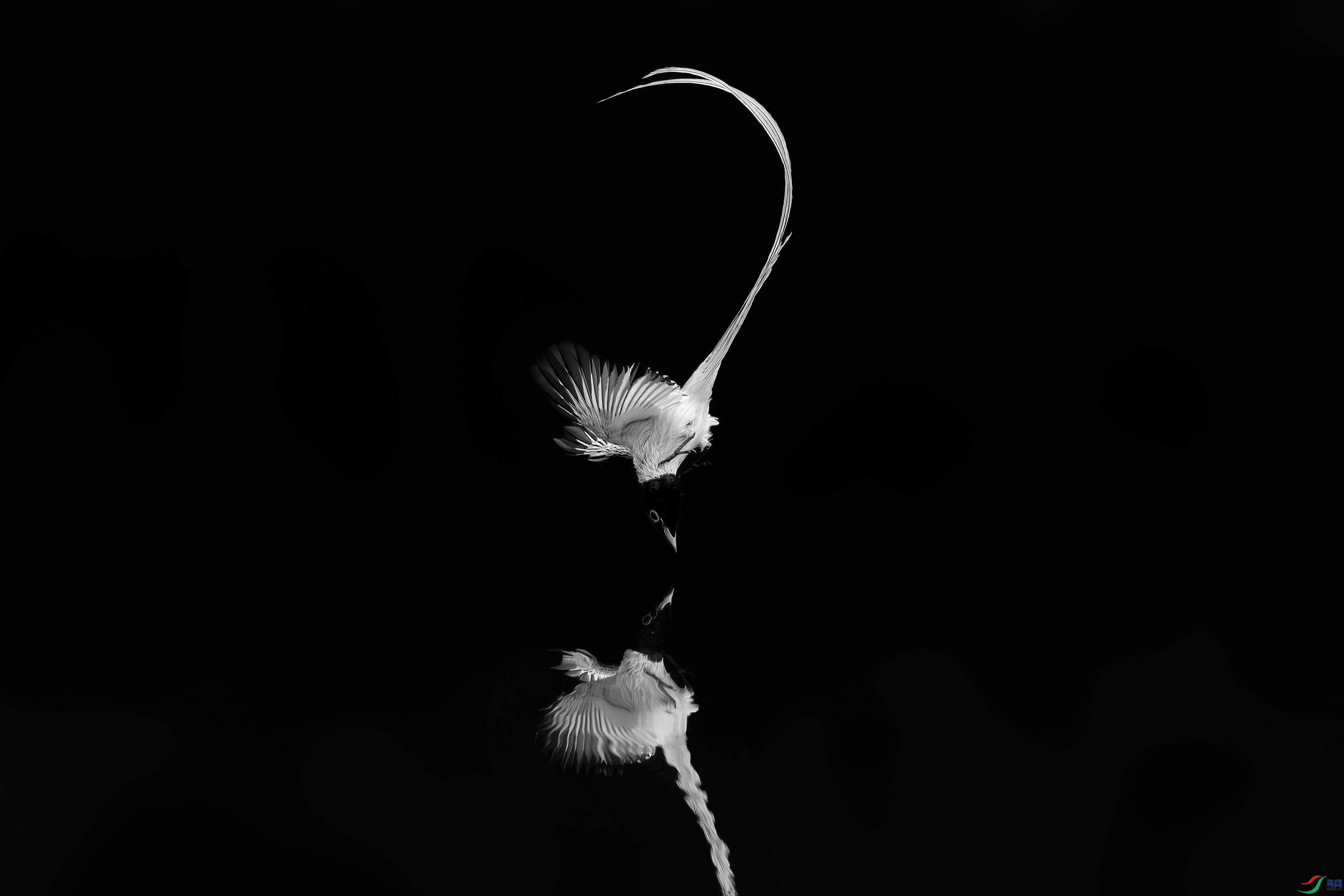 0B3A8136.jpg