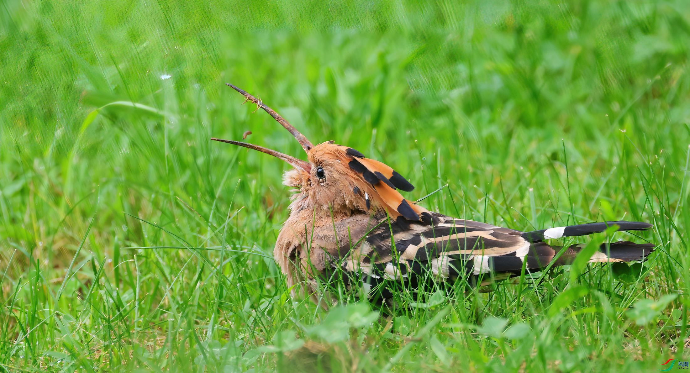 4R6A8151-SharpenAI-Motion (1).jpg