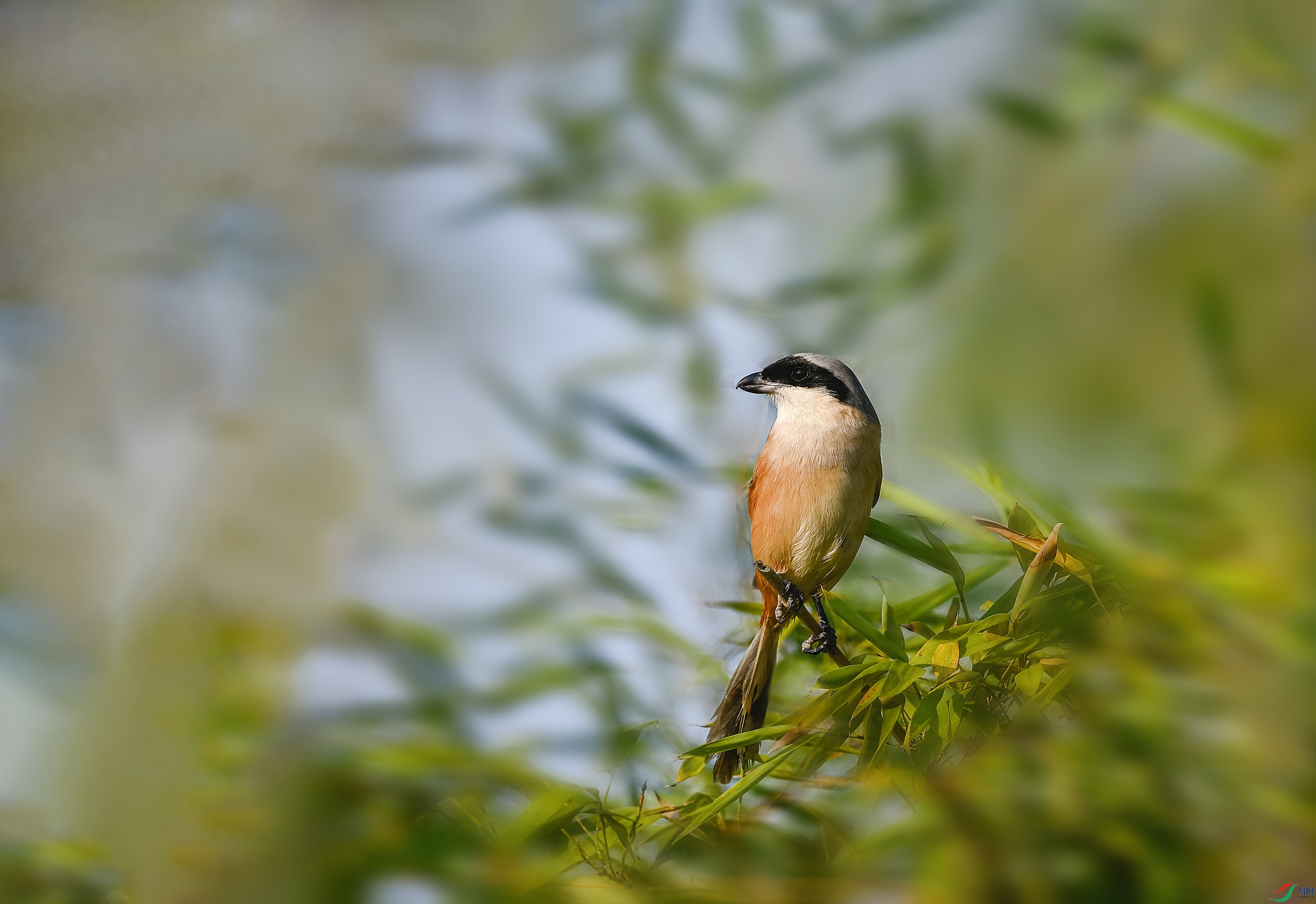 _DSC3564.JPG