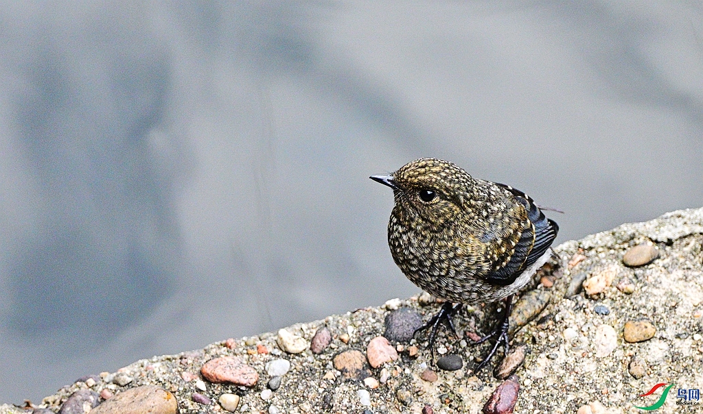 DSC_9830.JPG