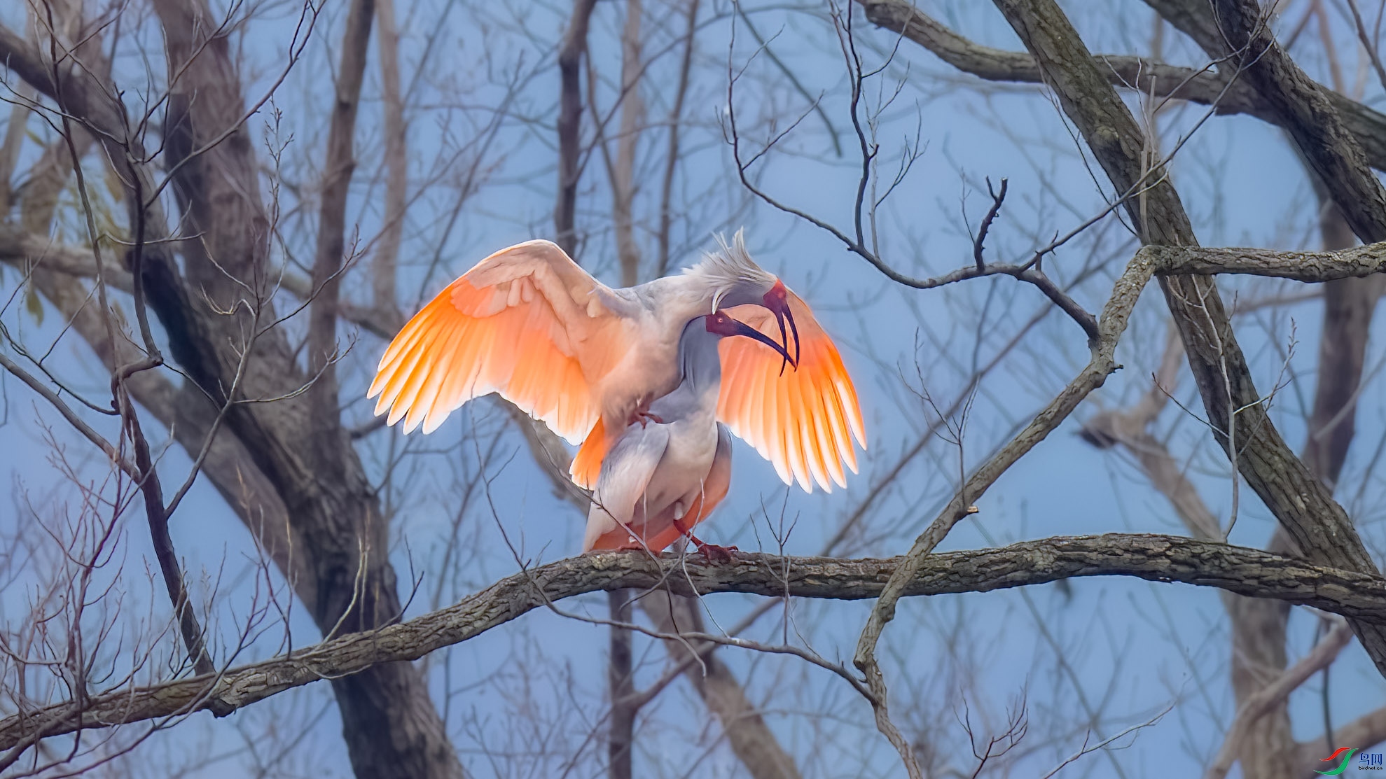 C63I8317��-raw.jpg