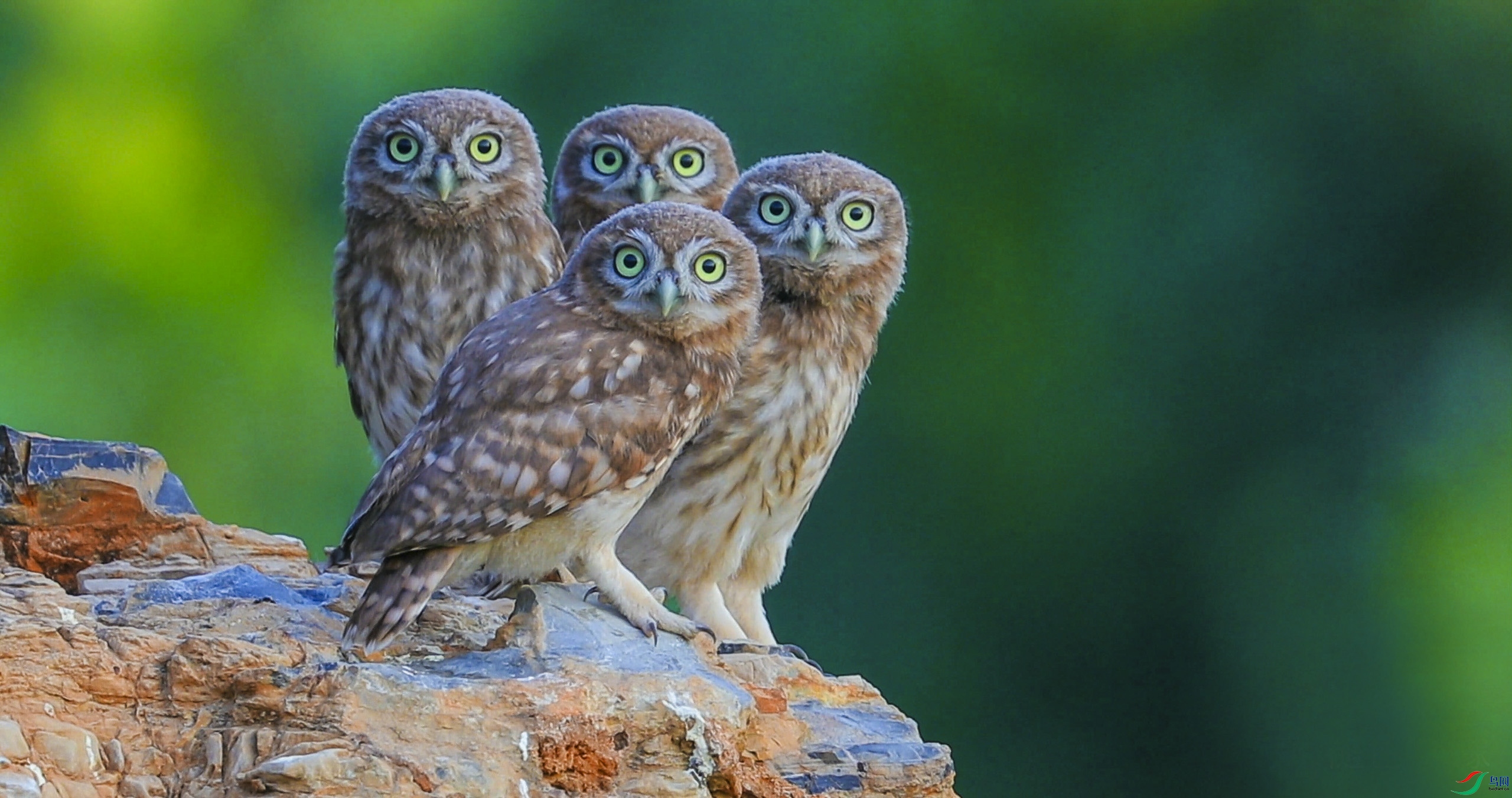 7��26�� (4)-2560.jpg