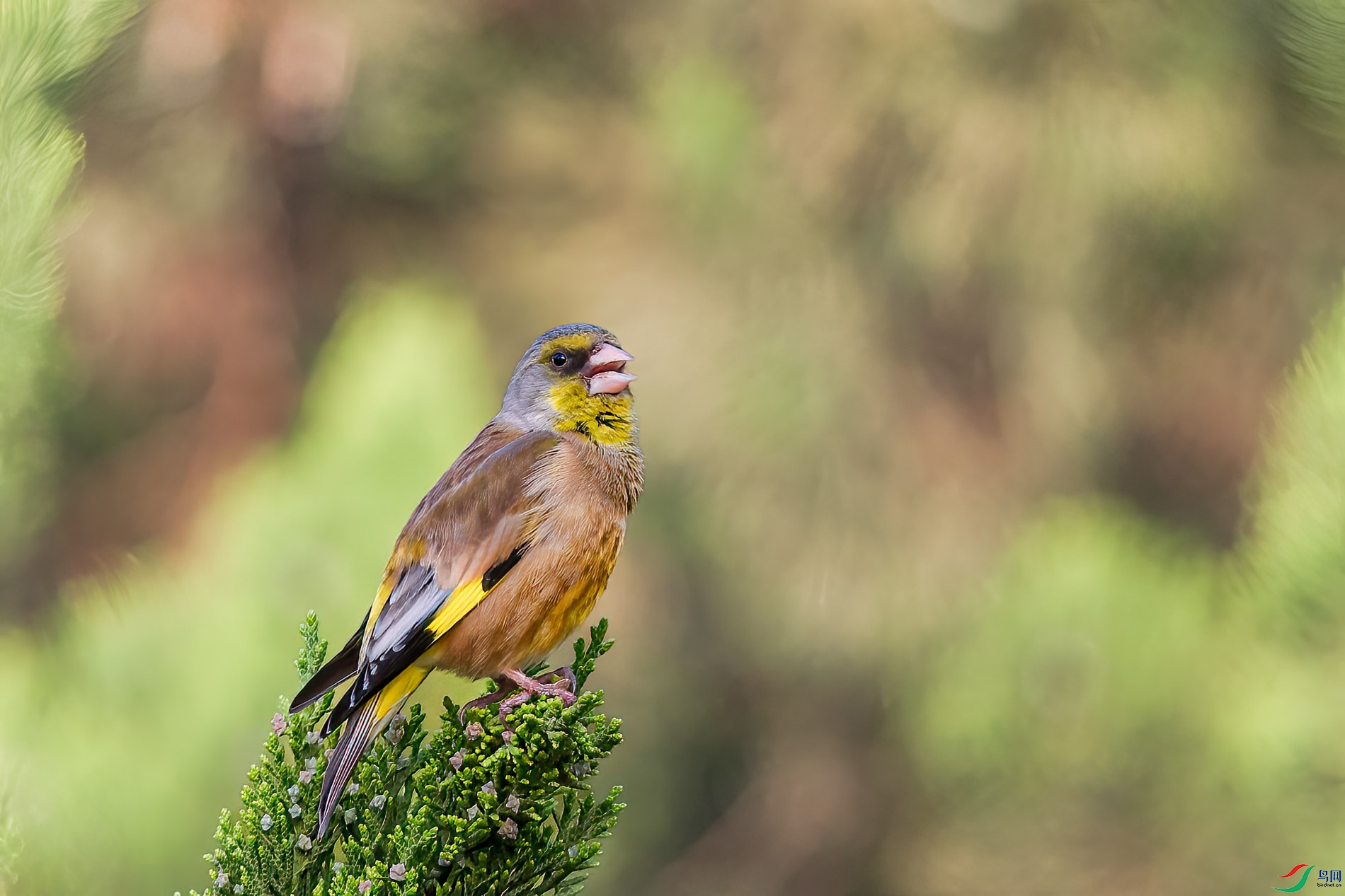 AQ4P8892-1.jpg