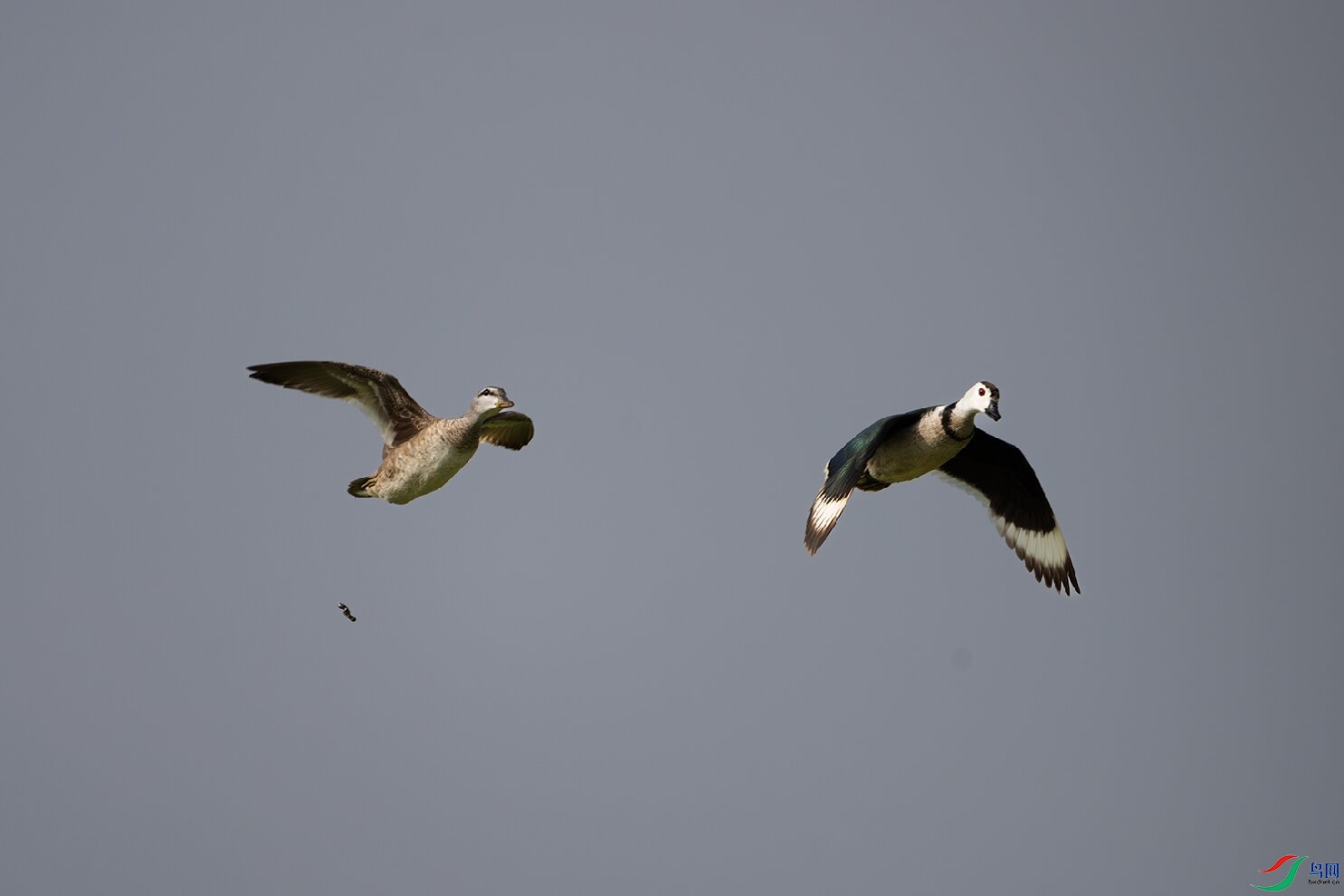 _DSC0430-����ǿ-NR ����.jpg