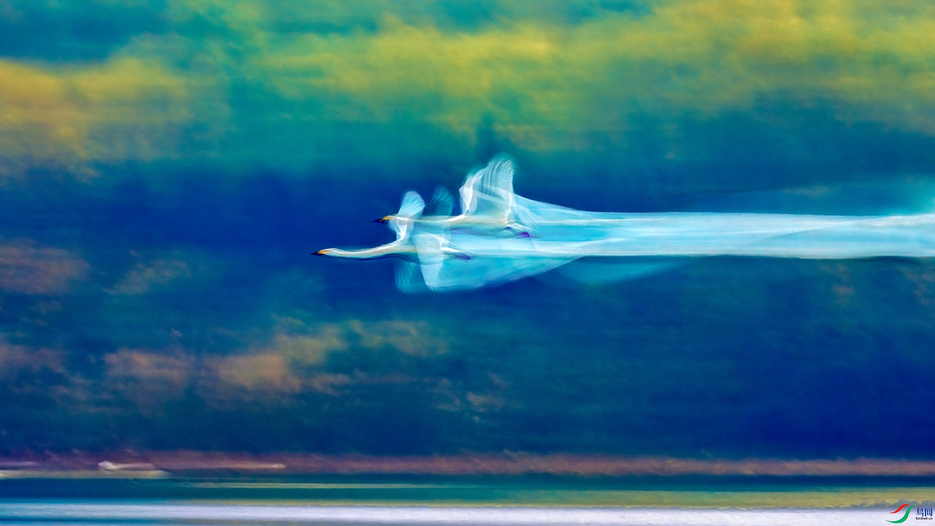 _B5A3532.jpg