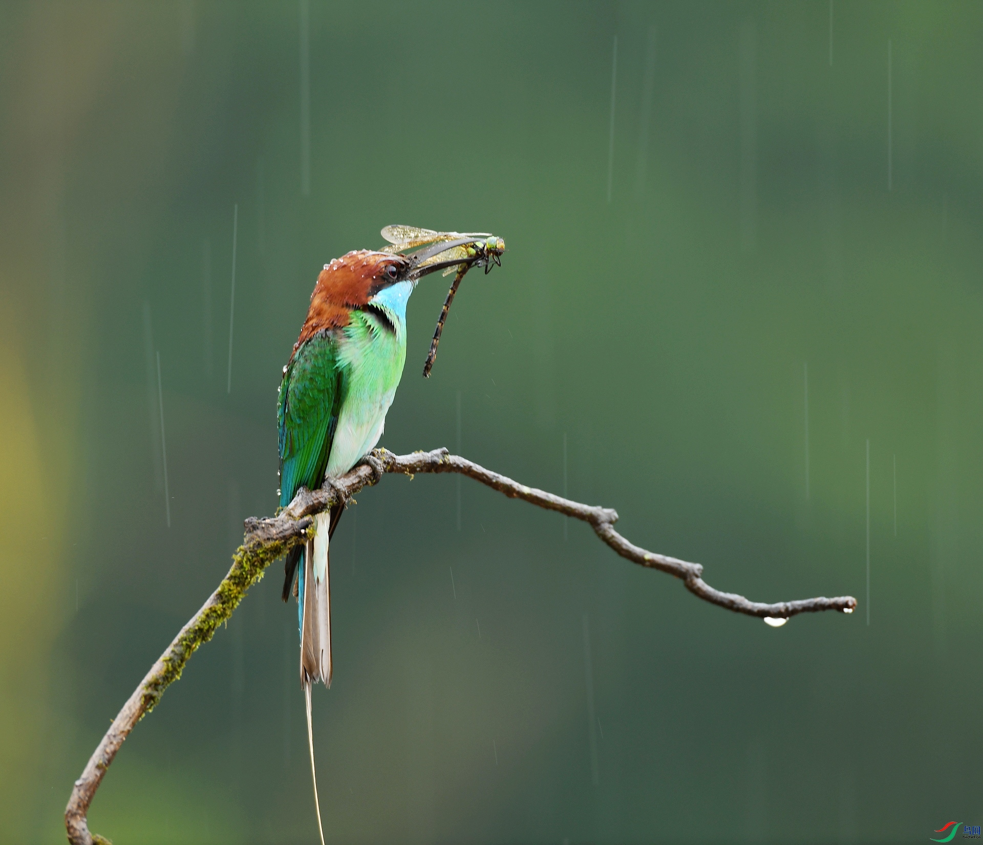 DSC_9262.jpg