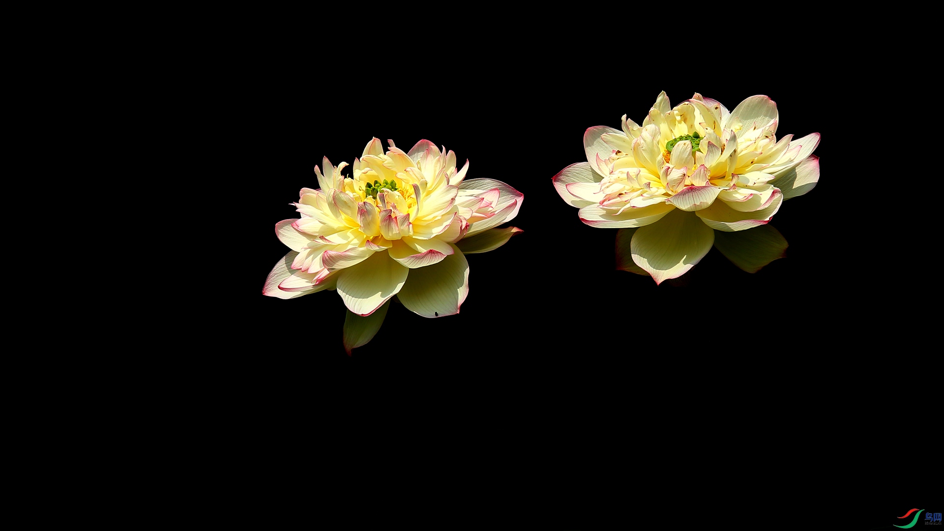 A48Z7921_����.jpg