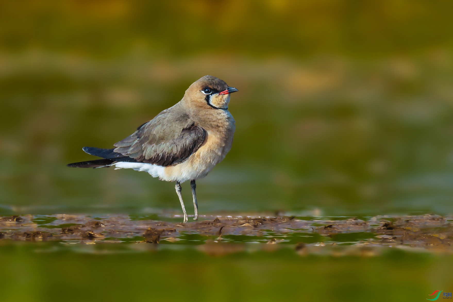 1L7A2328z ���� (2).jpg