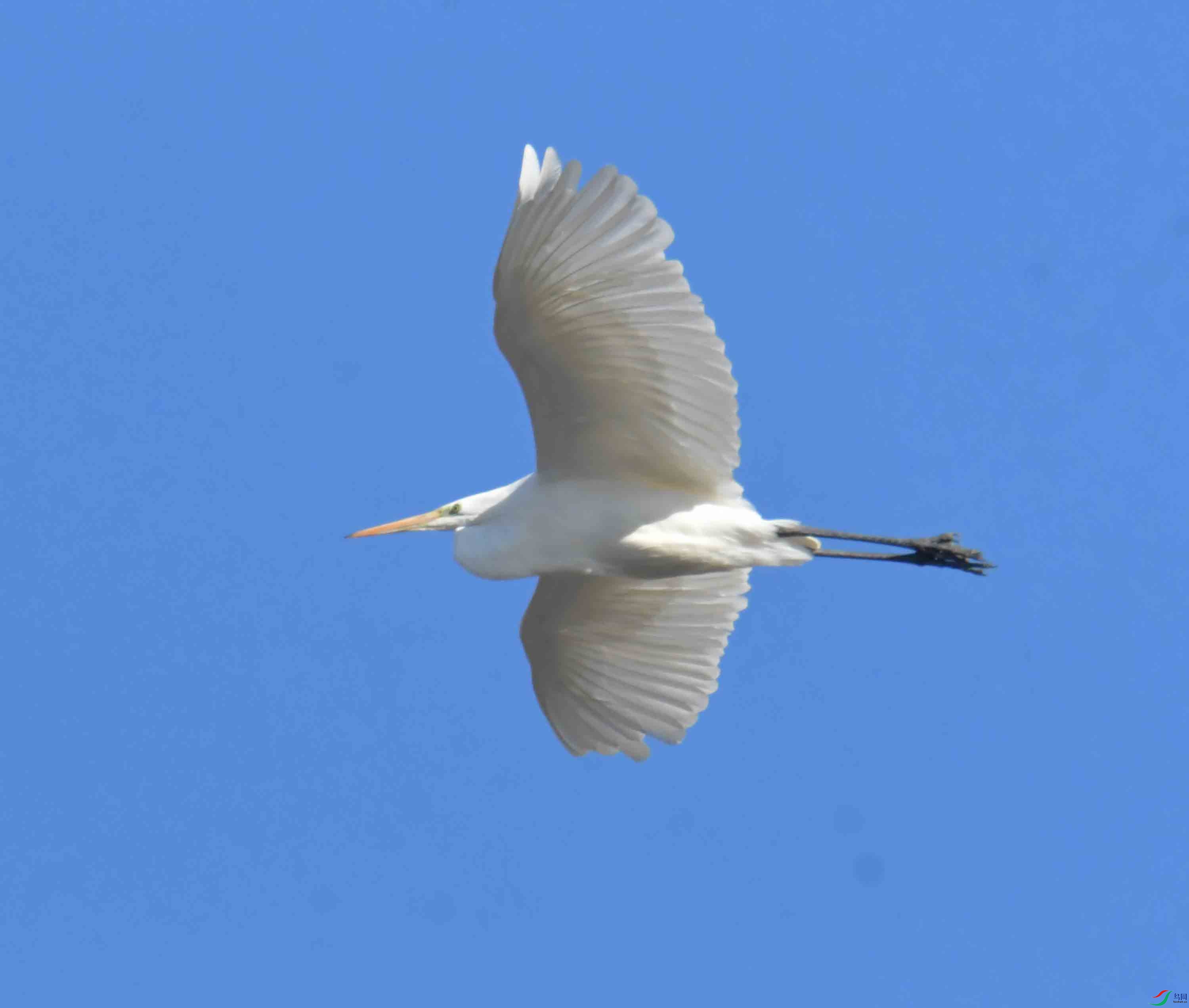 DSC_7401.JPG