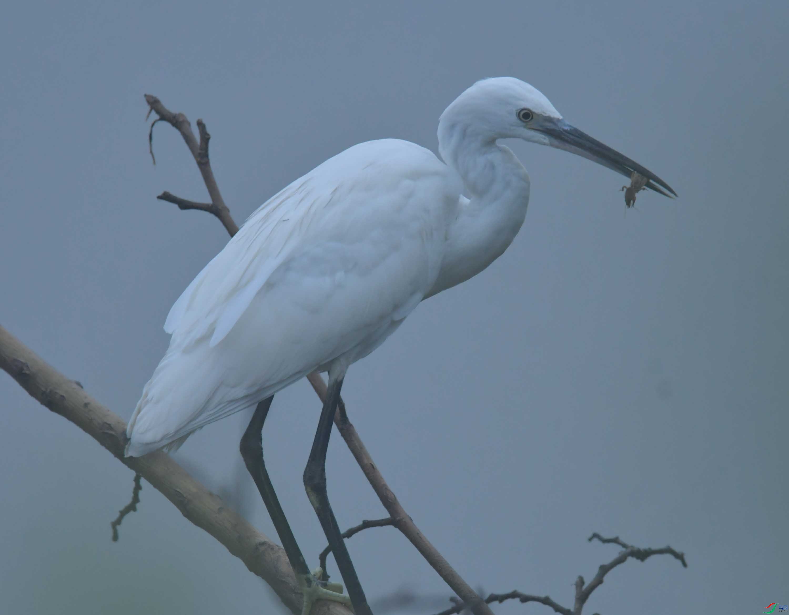 DSC_7469.JPG