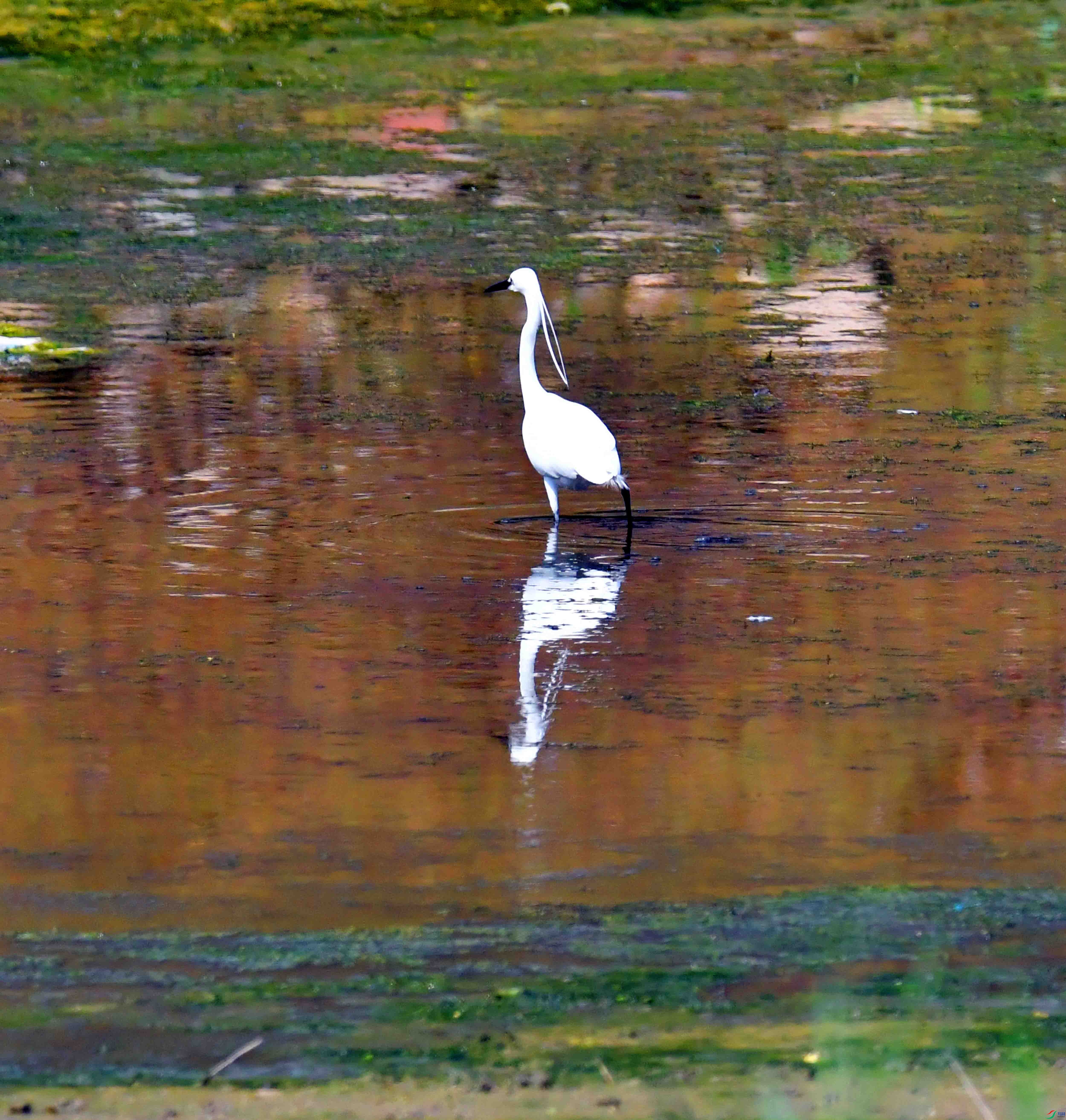 DSC_7666.JPG