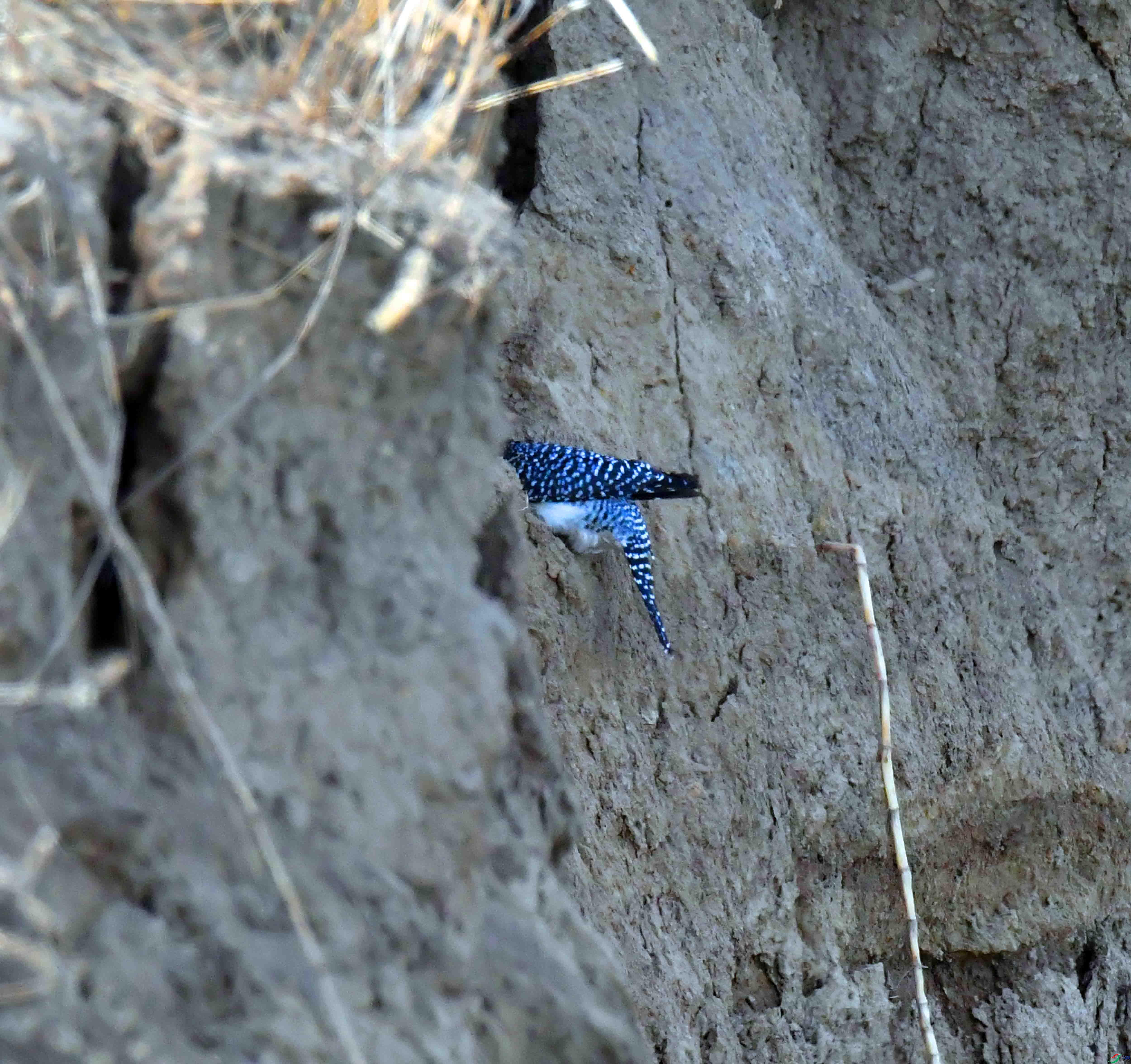 DSC_2054.JPG