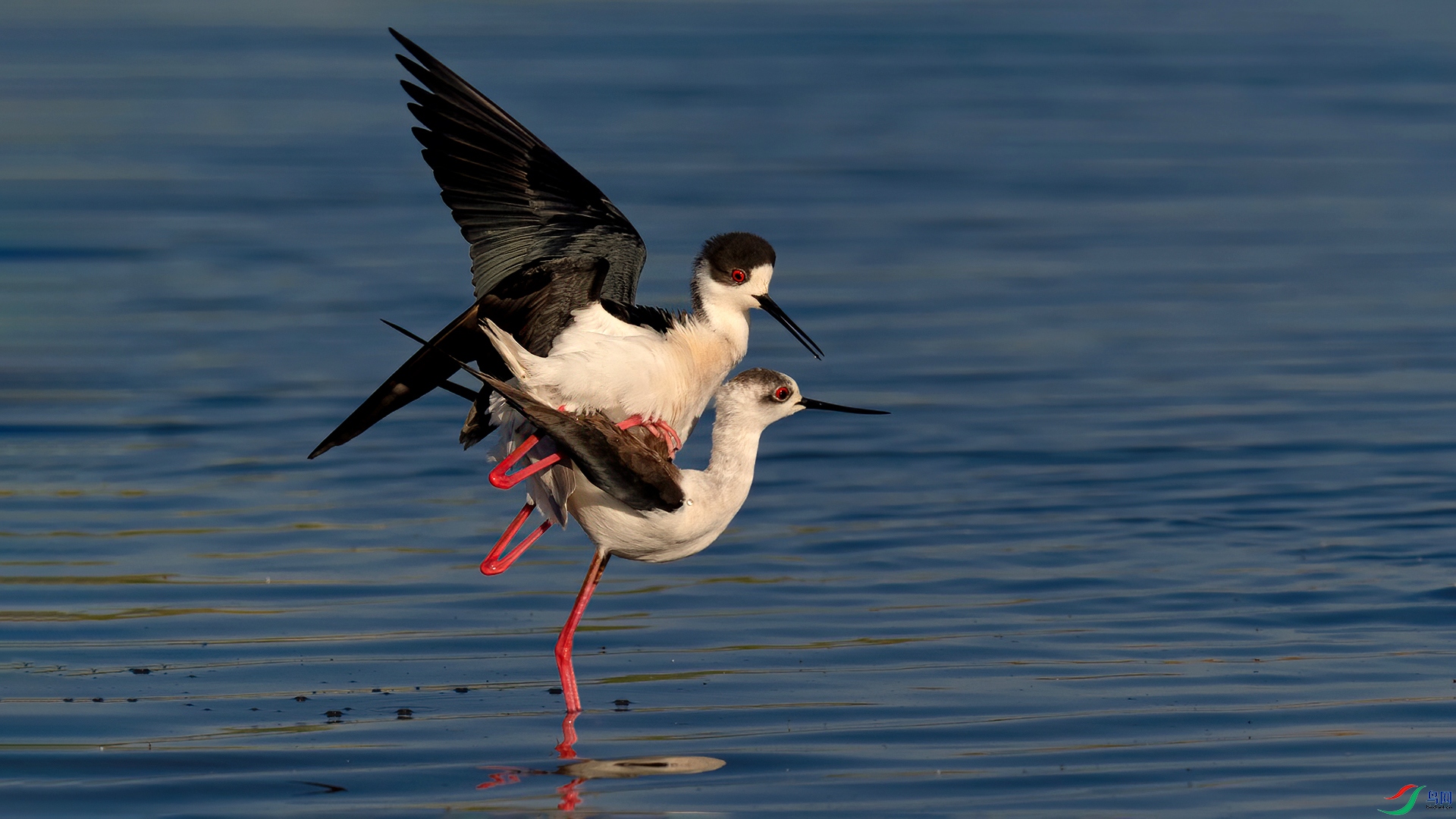 DSC_0771-20250418�� .jpg