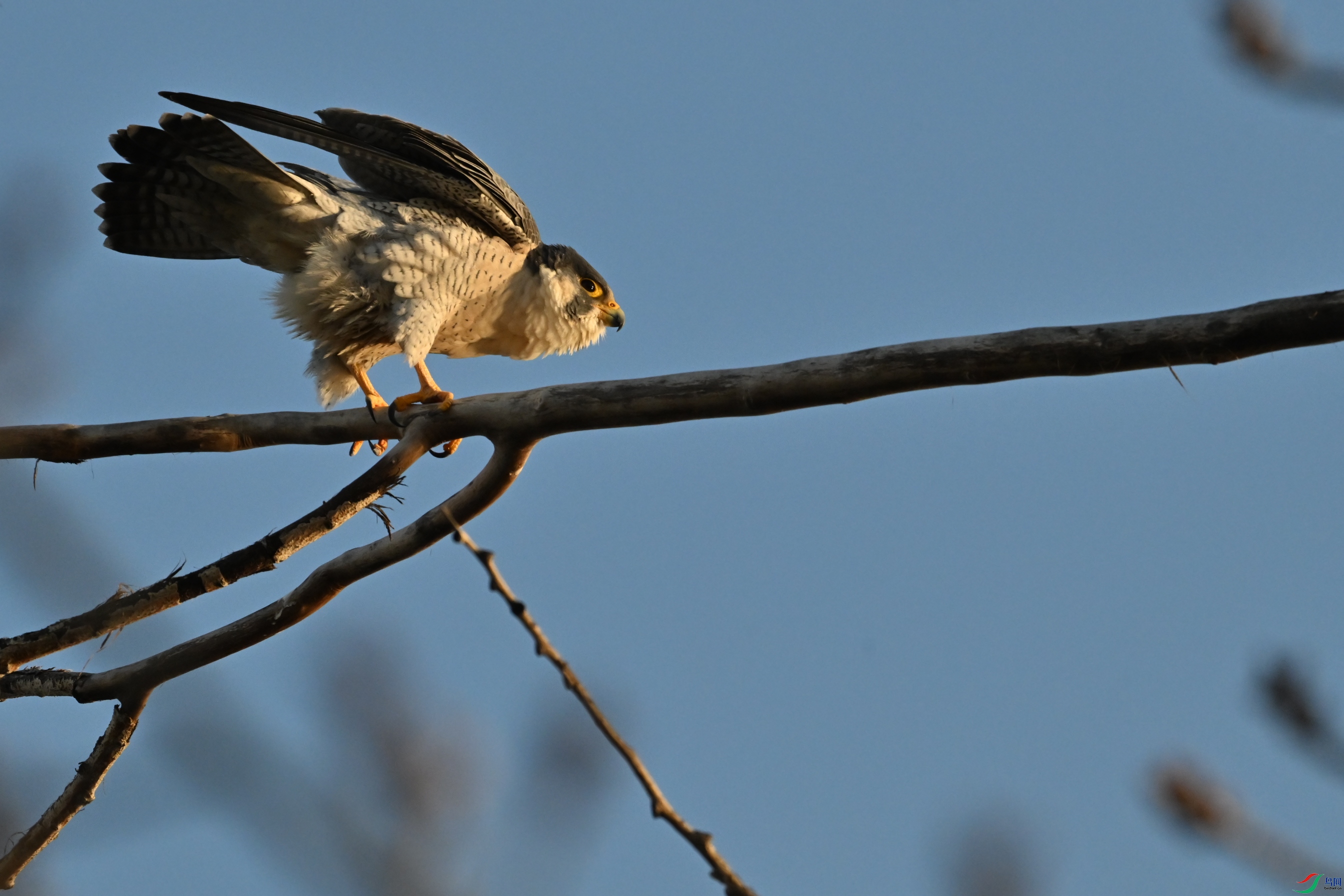DSC_3273_��ͼ��.jpg