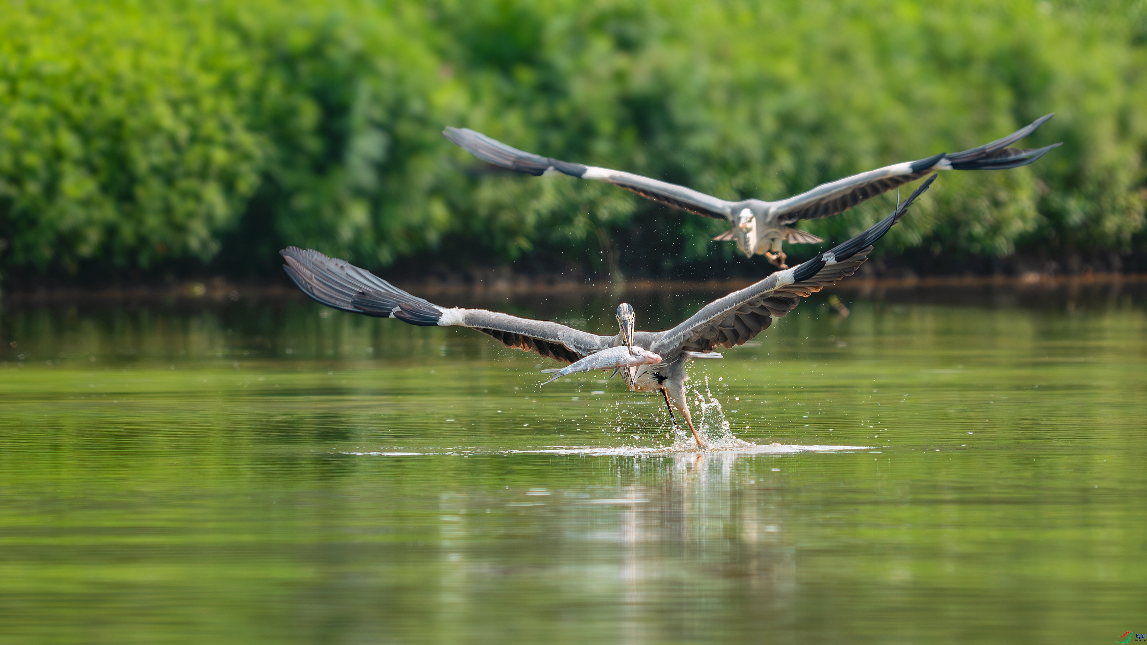 _DSC8367 ����.jpg