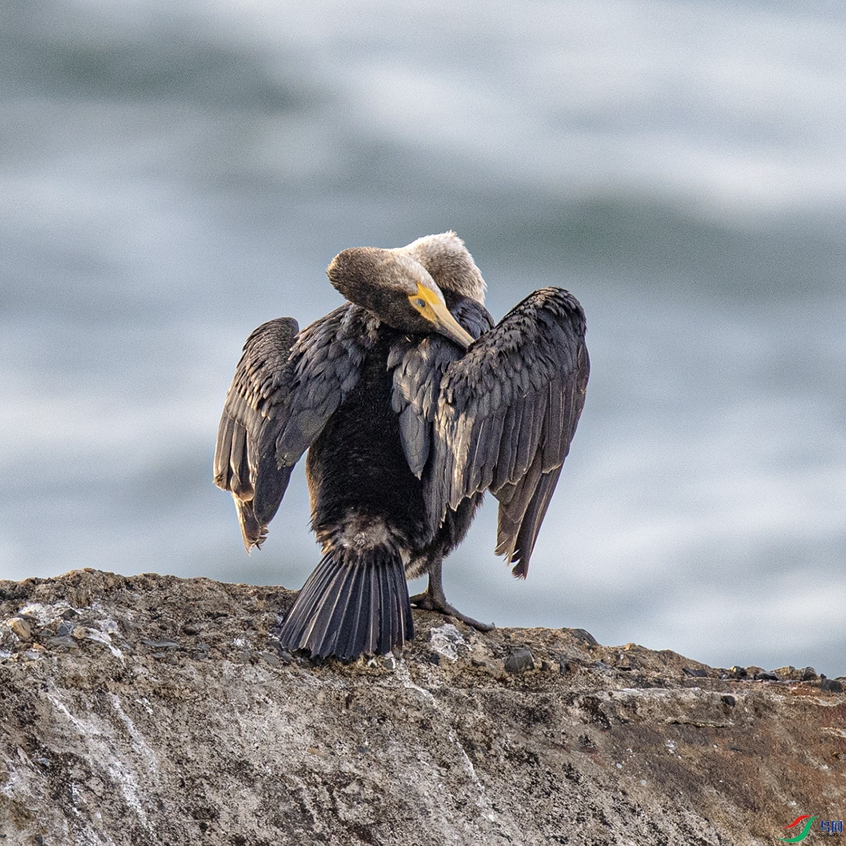 _90I8085 ���� 2.jpg