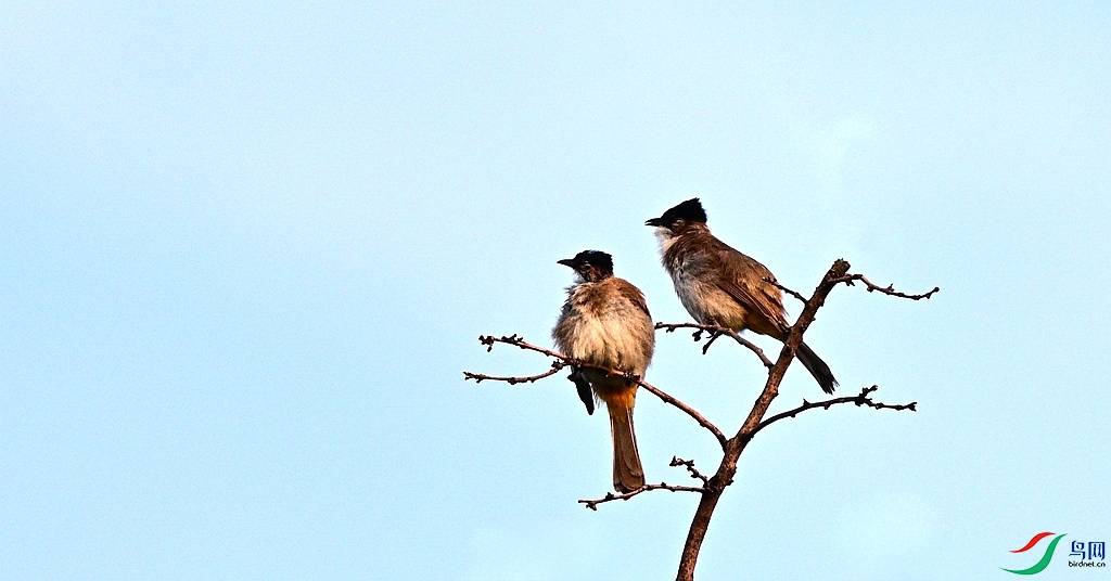 DSC_9140.JPG
