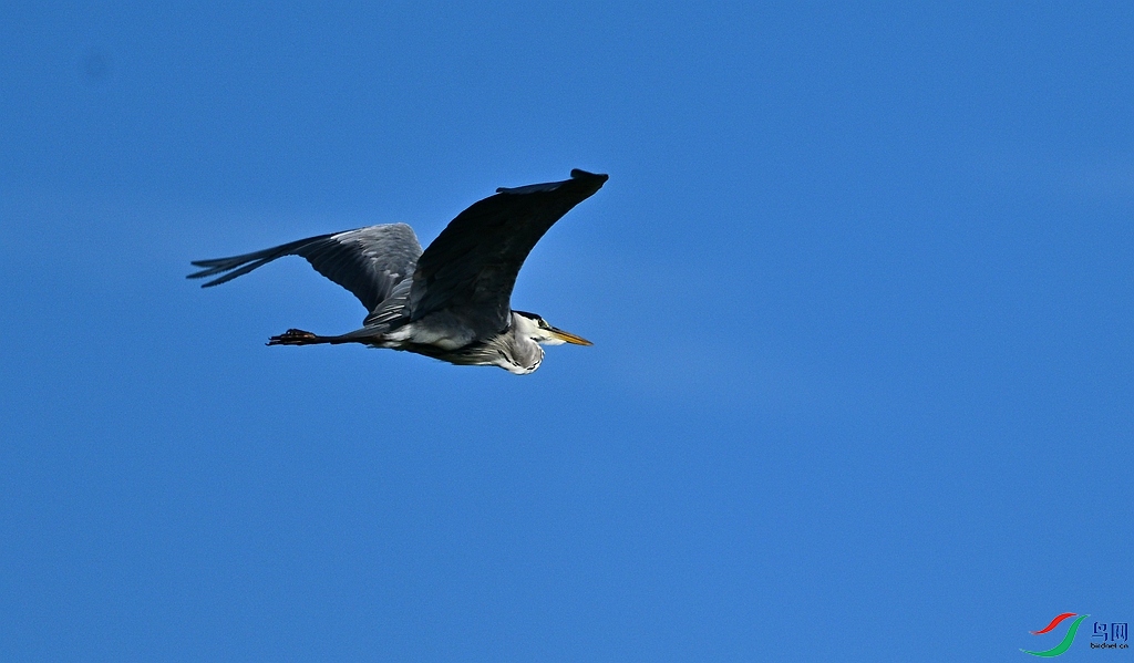 DSC_1719.JPG