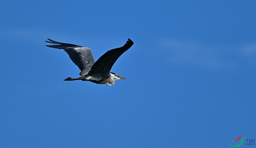 DSC_1723.JPG