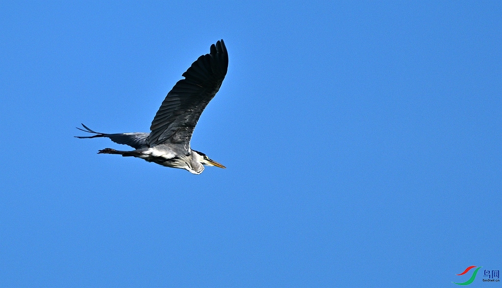 DSC_1735.JPG