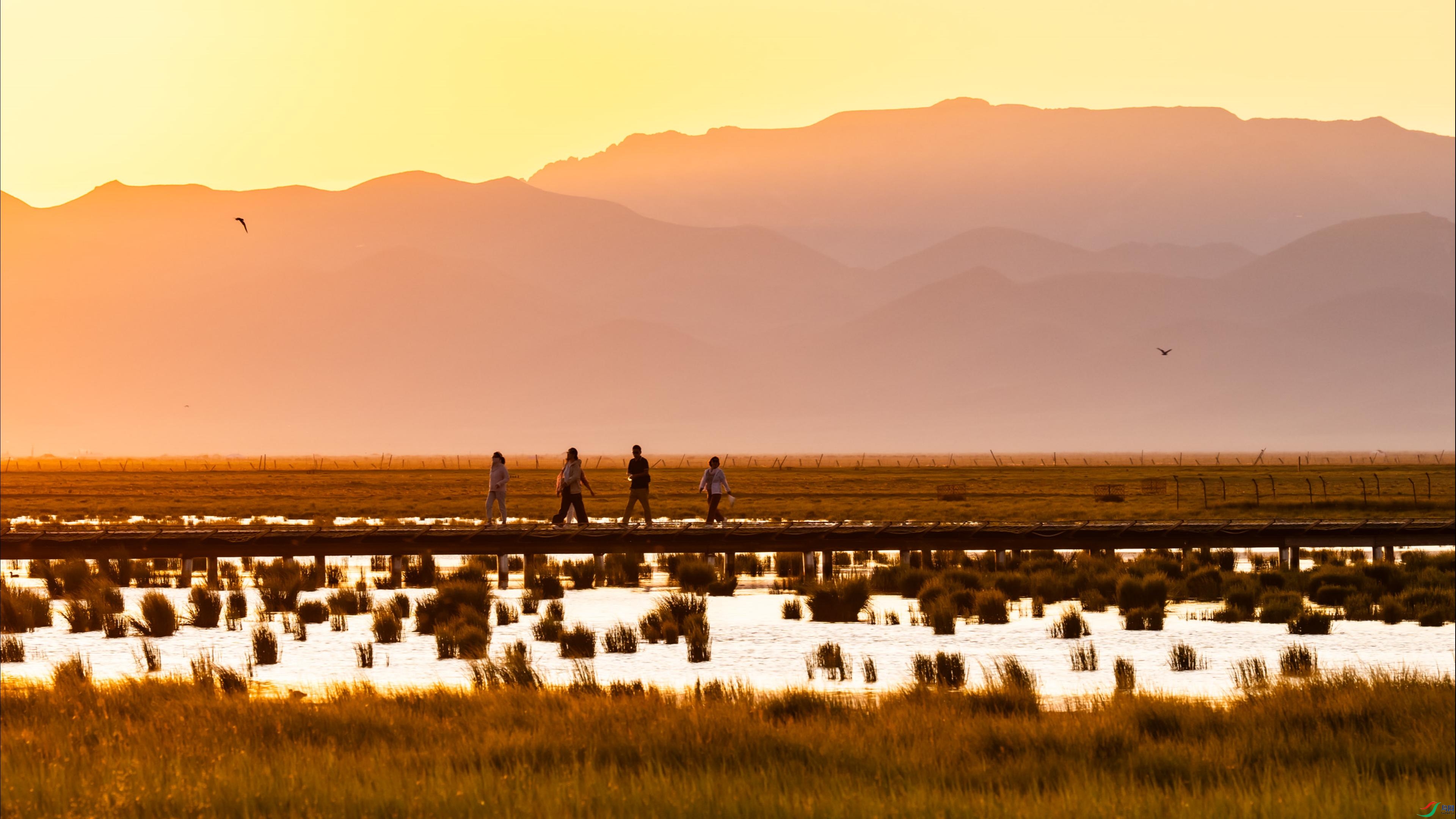 �����ǻ���