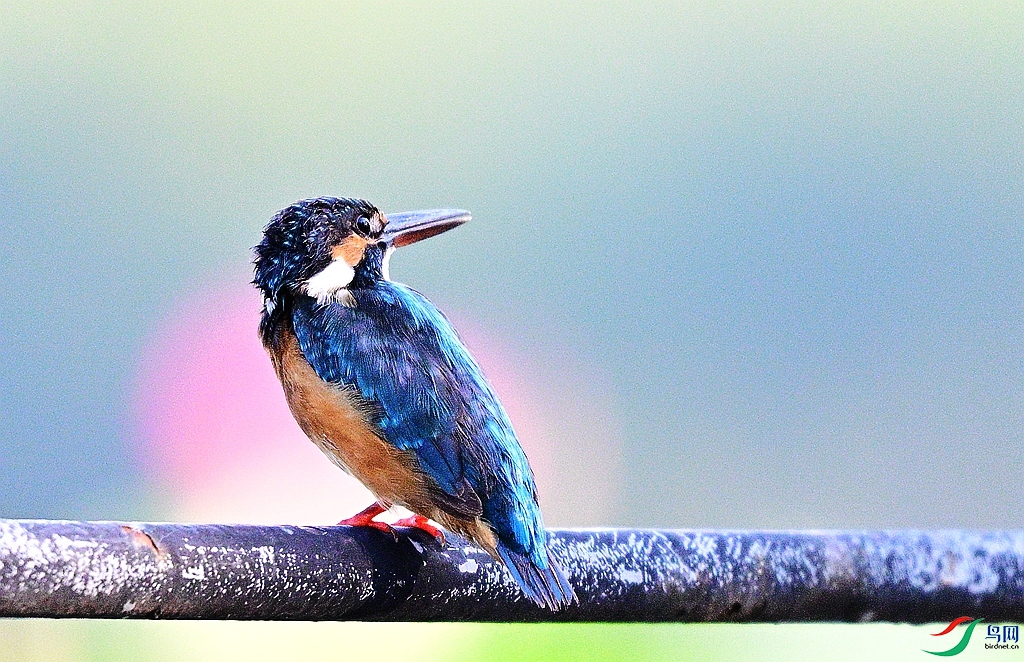 DSC_3357.JPG