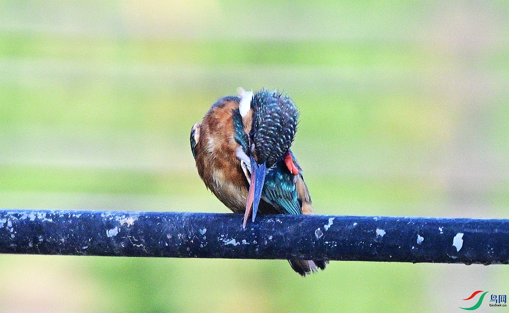 DSC_3392.JPG