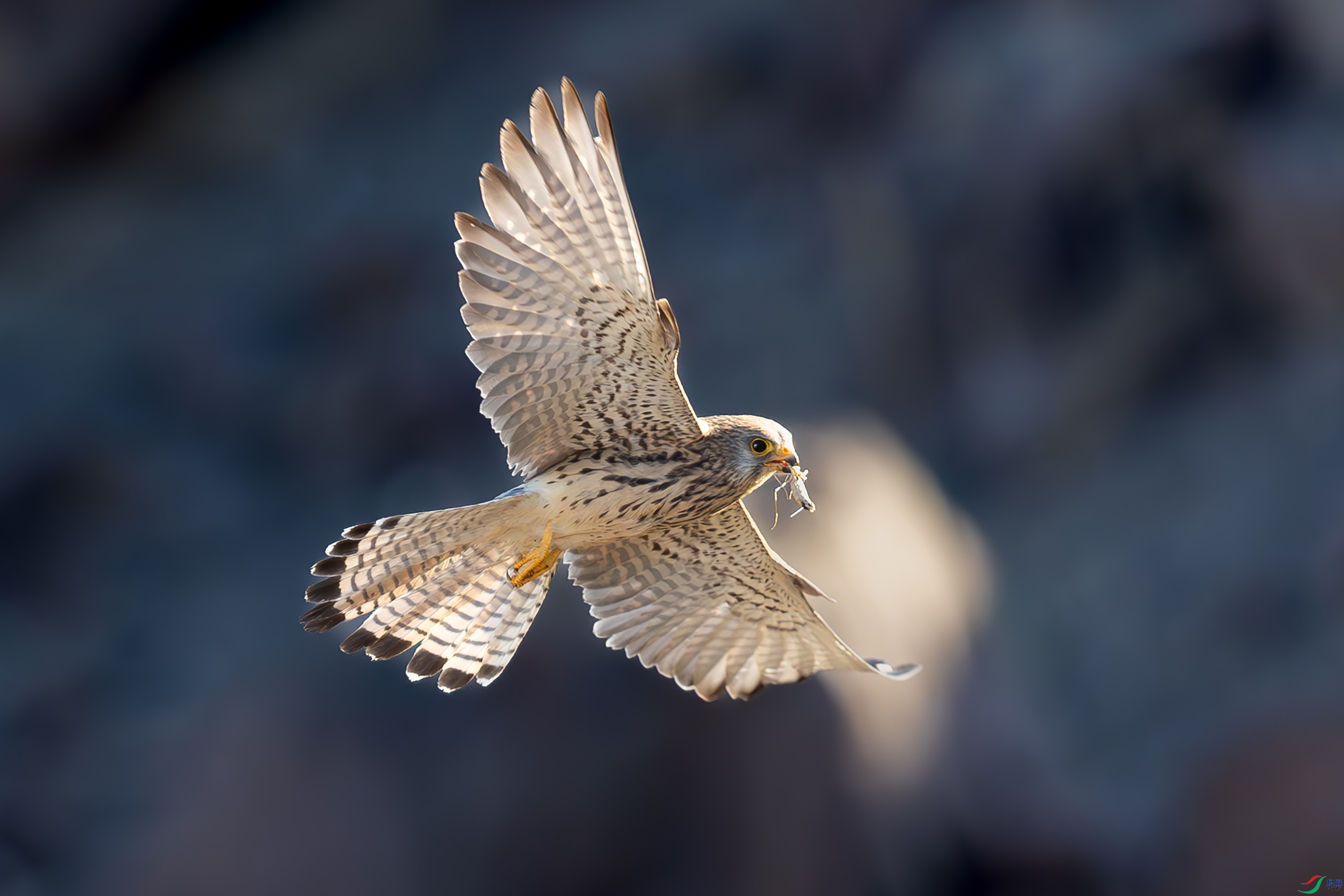 _72A8429-����ǿ-NR.JPG