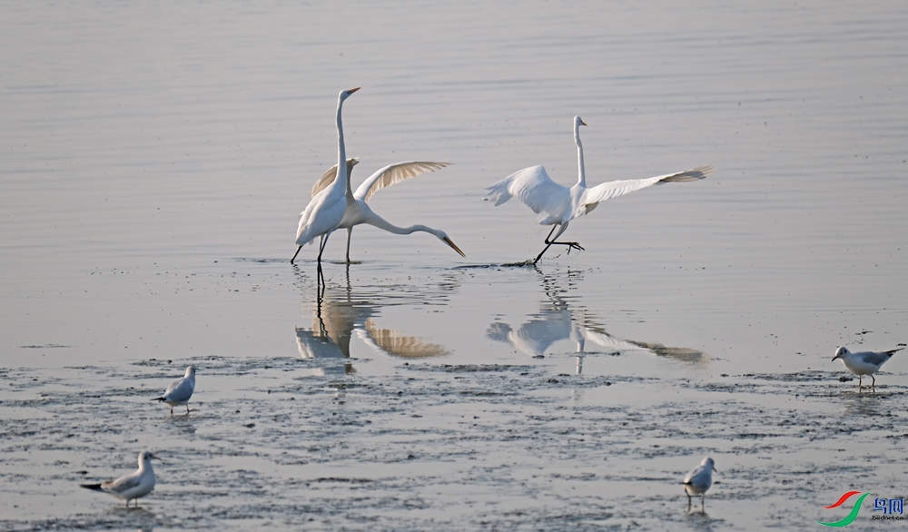 DSCF5753.JPG