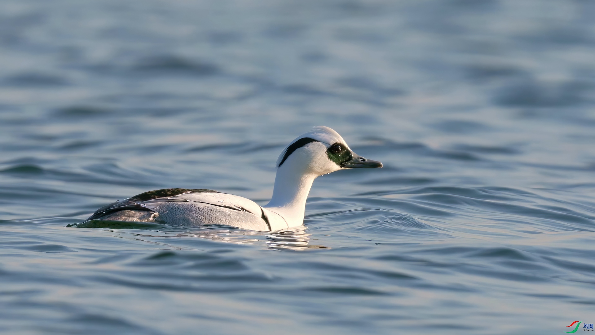 ��֡ 2025-07-27 154944_1.1.jpg