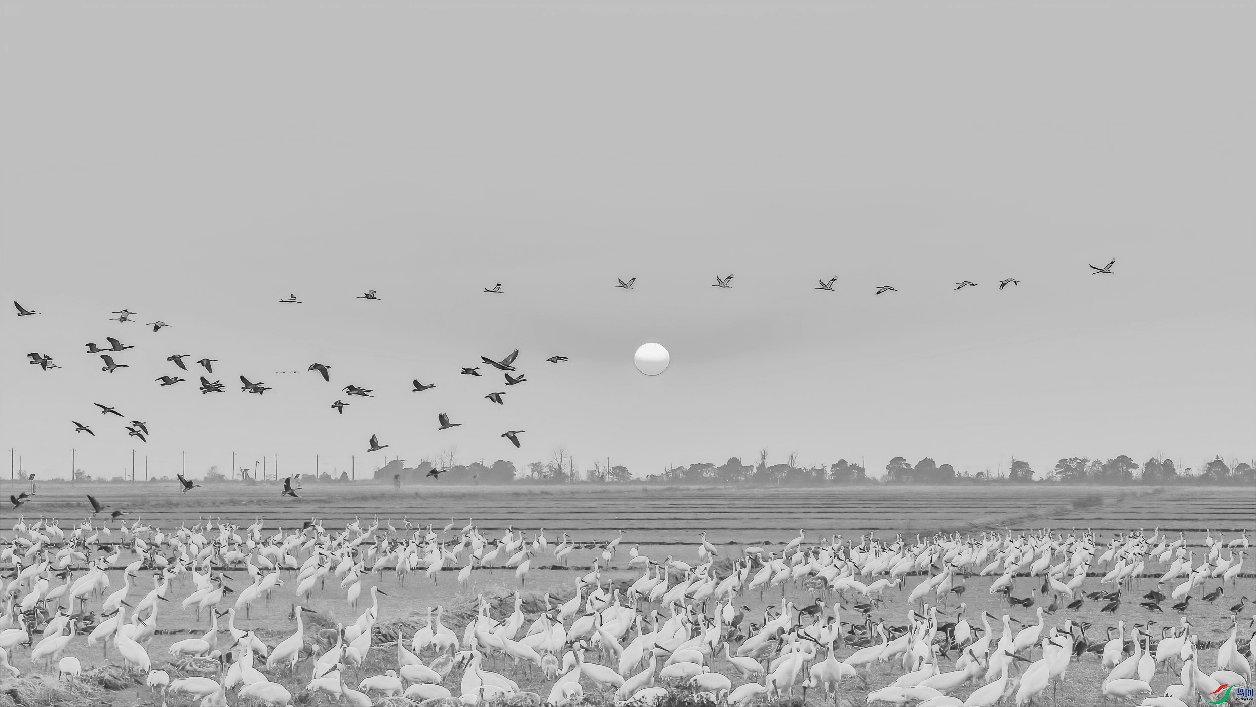 DSC_3992 ����.jpg