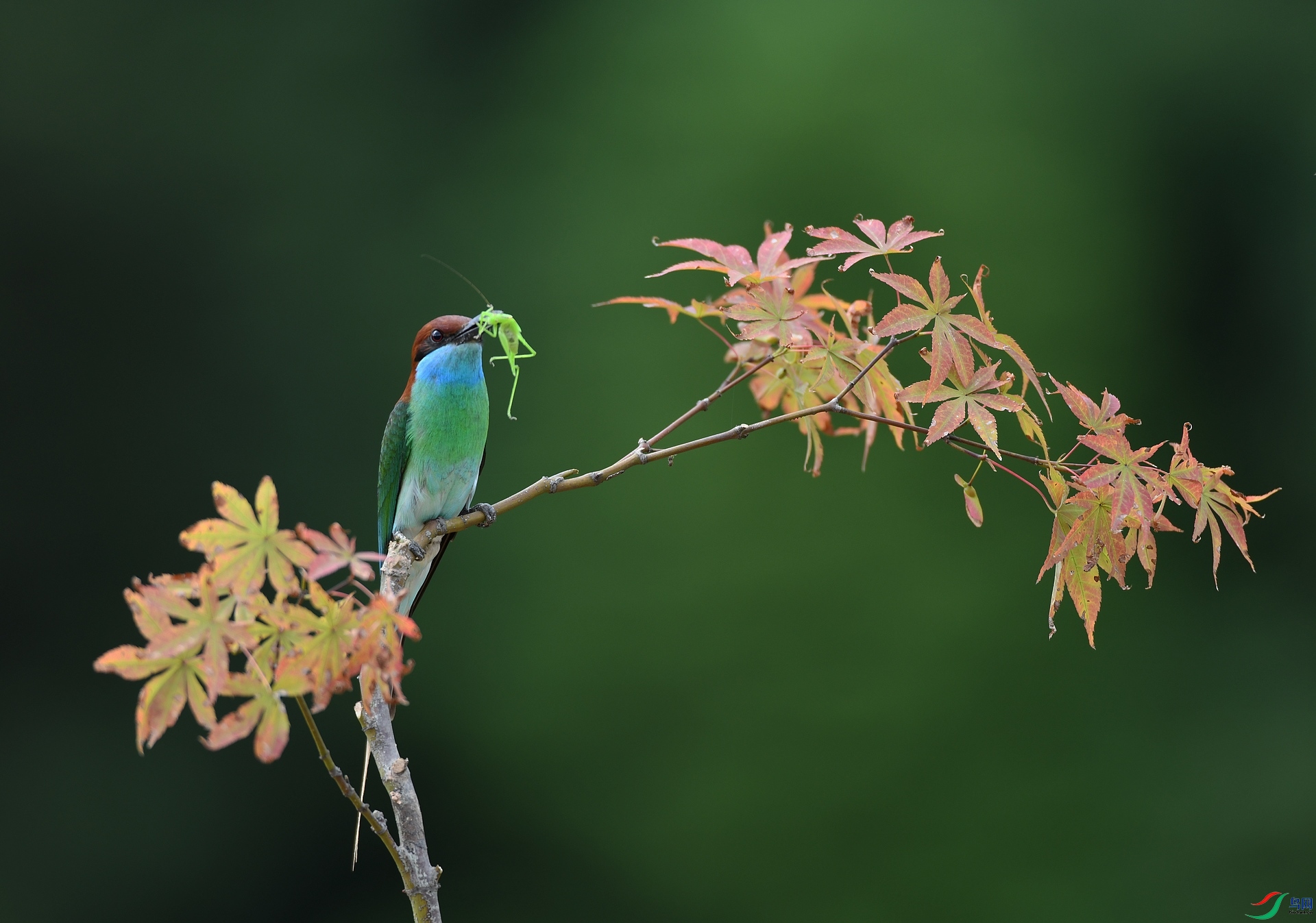 DSC_0844.jpg