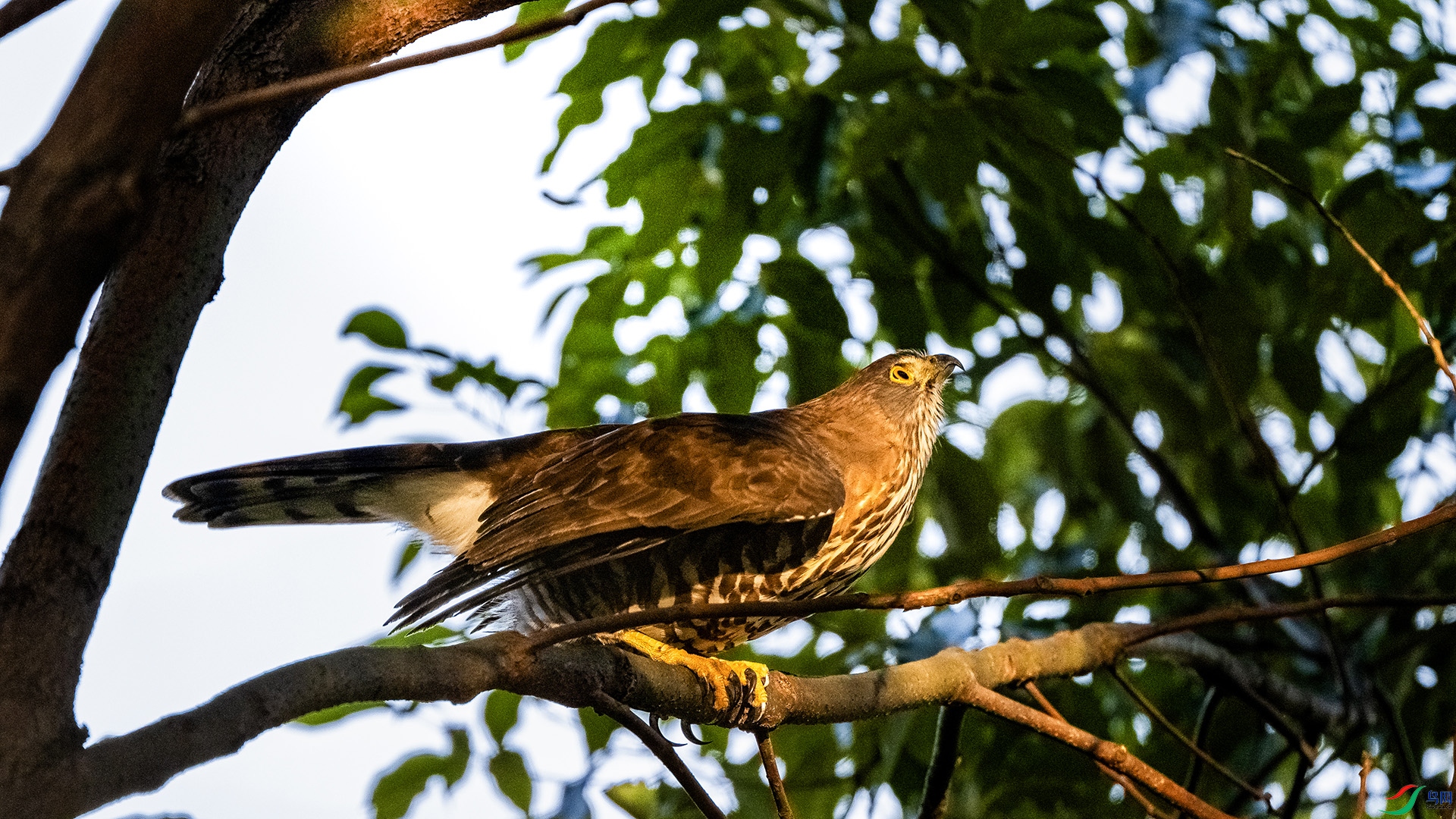 DSC_7661.jpg