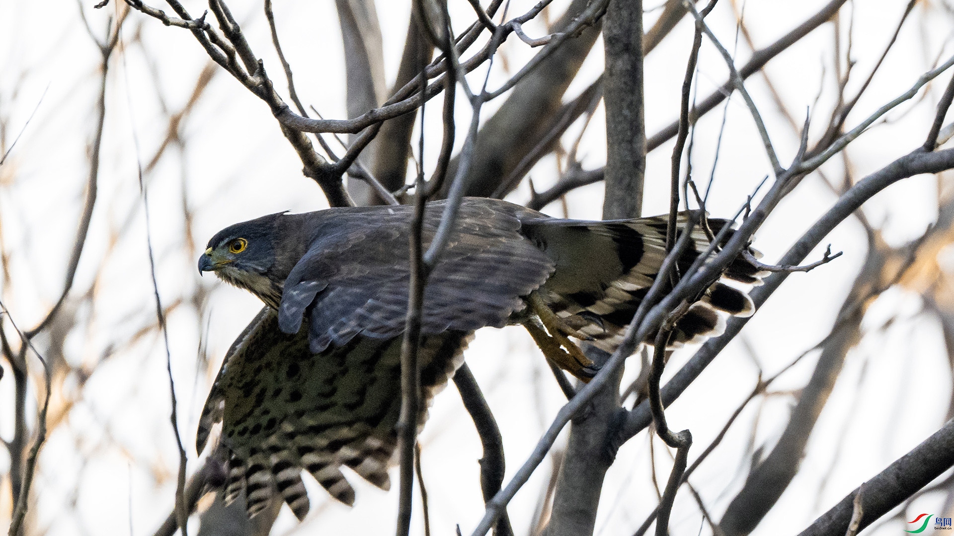 DSC_7626.jpg