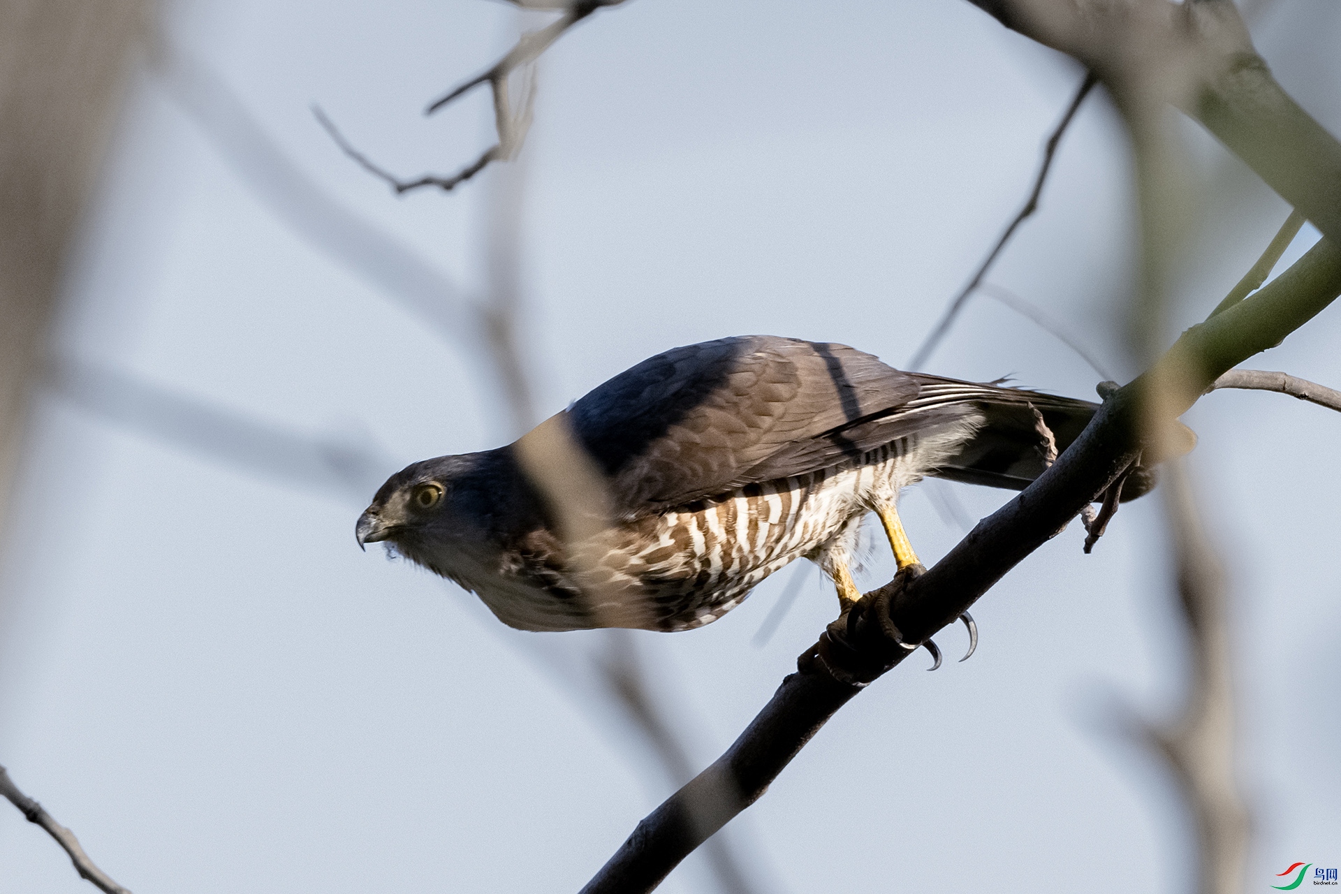 DSC_9103.jpg
