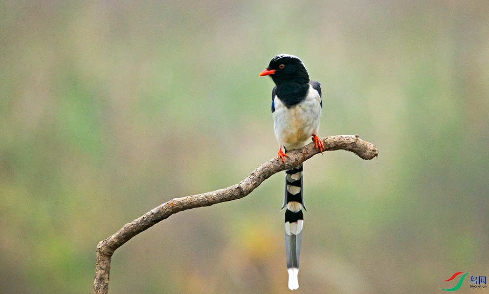 _GH_7505.jpg