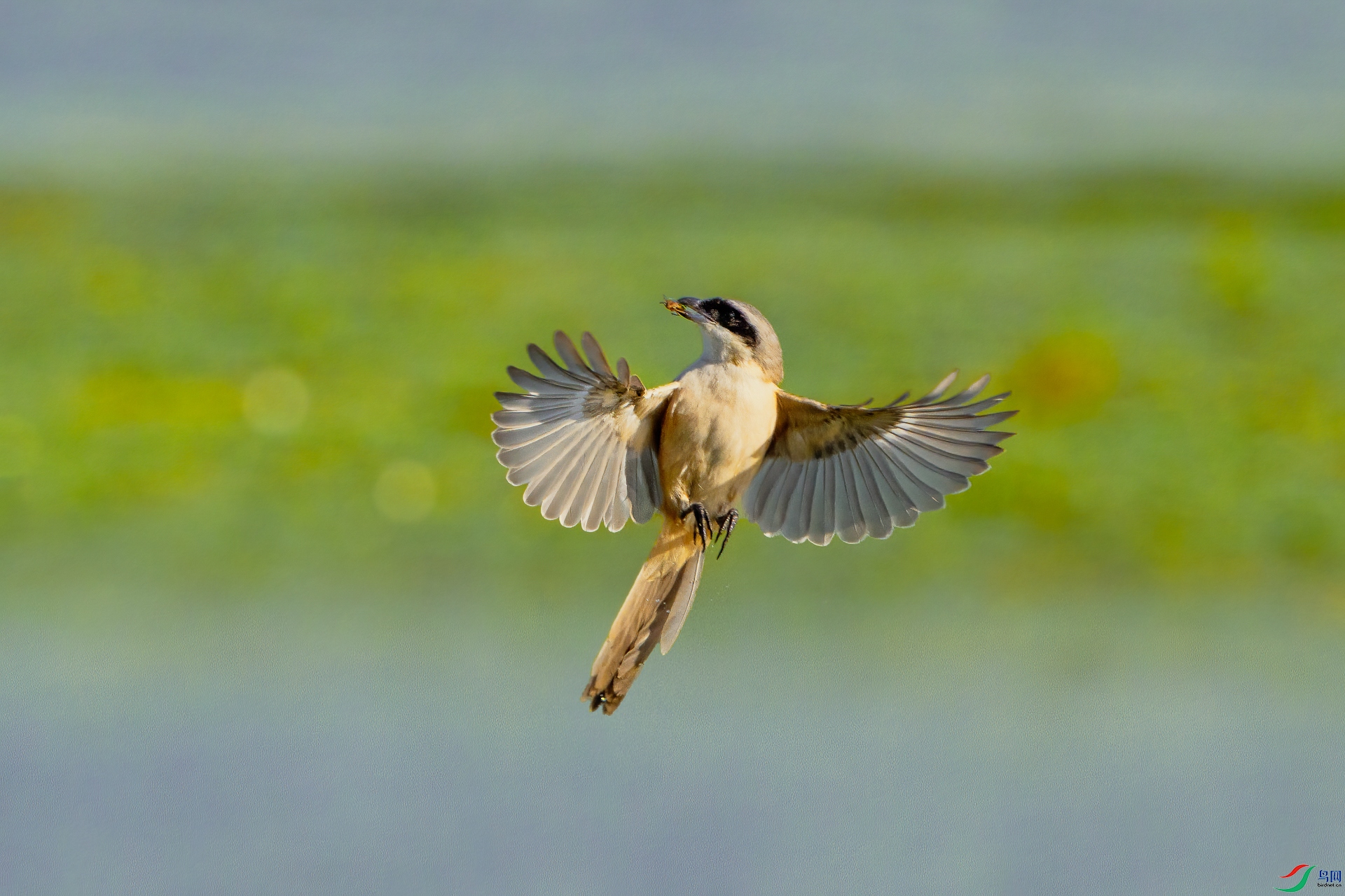 _DSC3454-2 ����_1.jpg