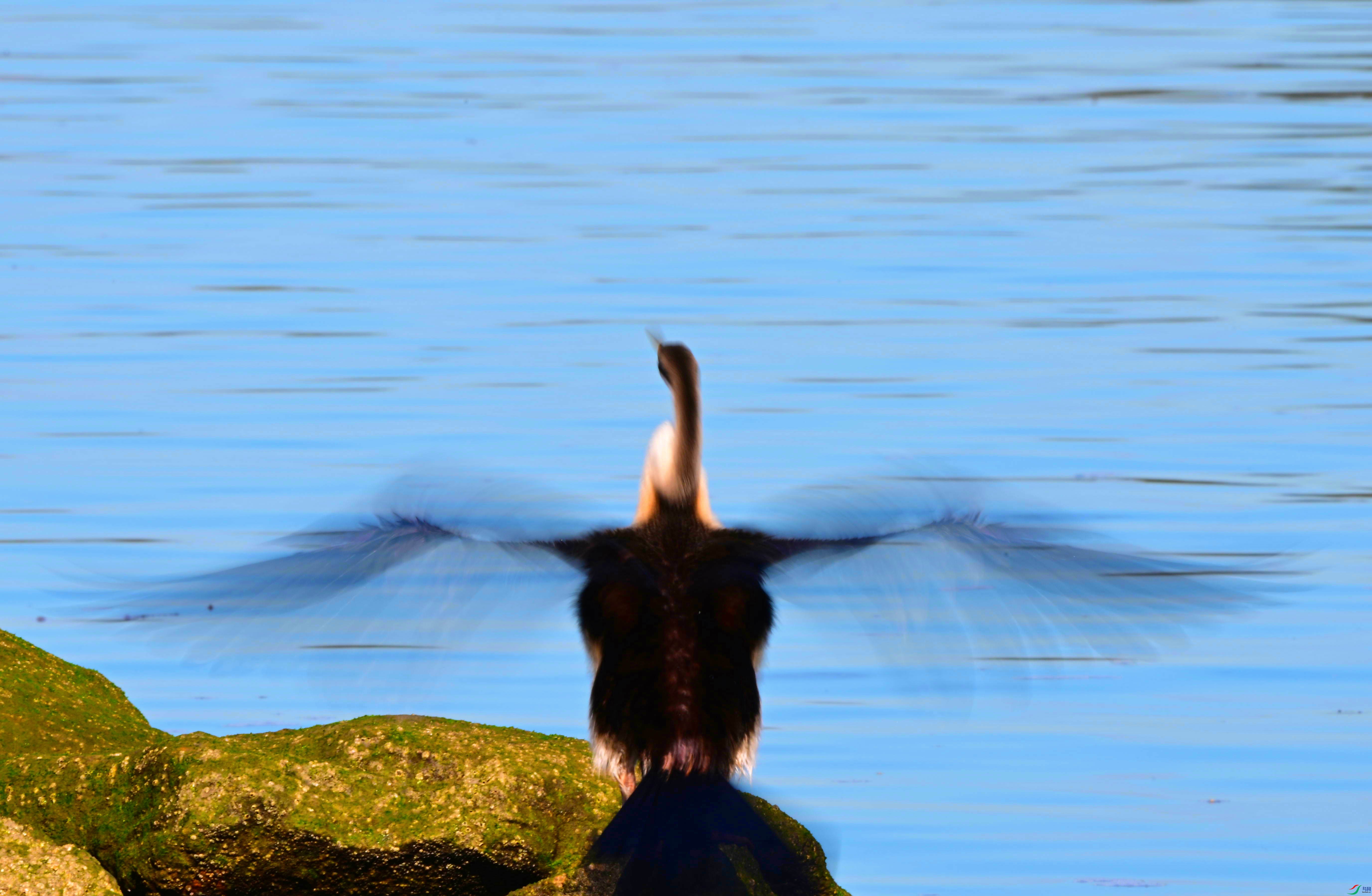 DSC_8686_��ͼ��_����.jpg