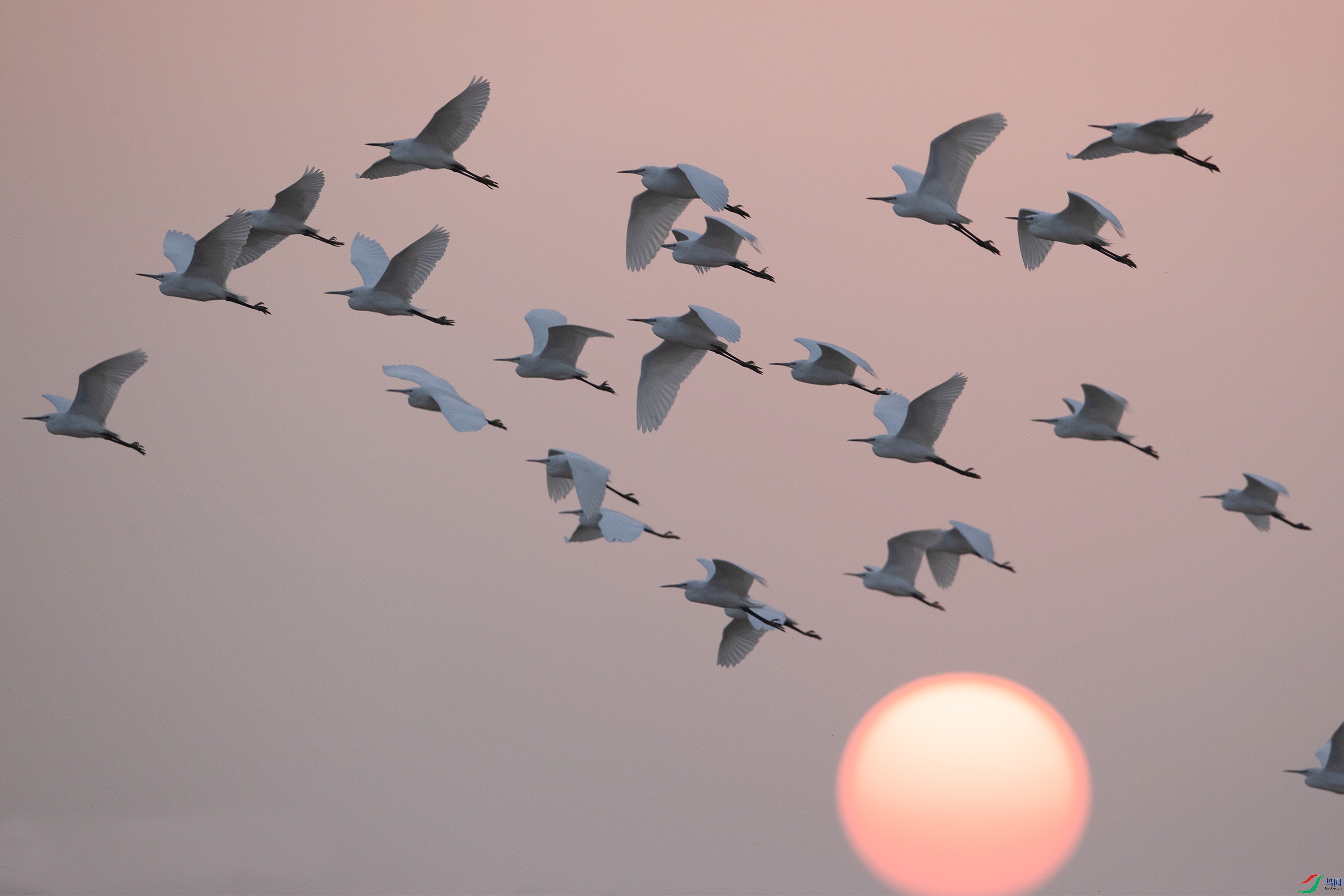 AB1I4348.jpg