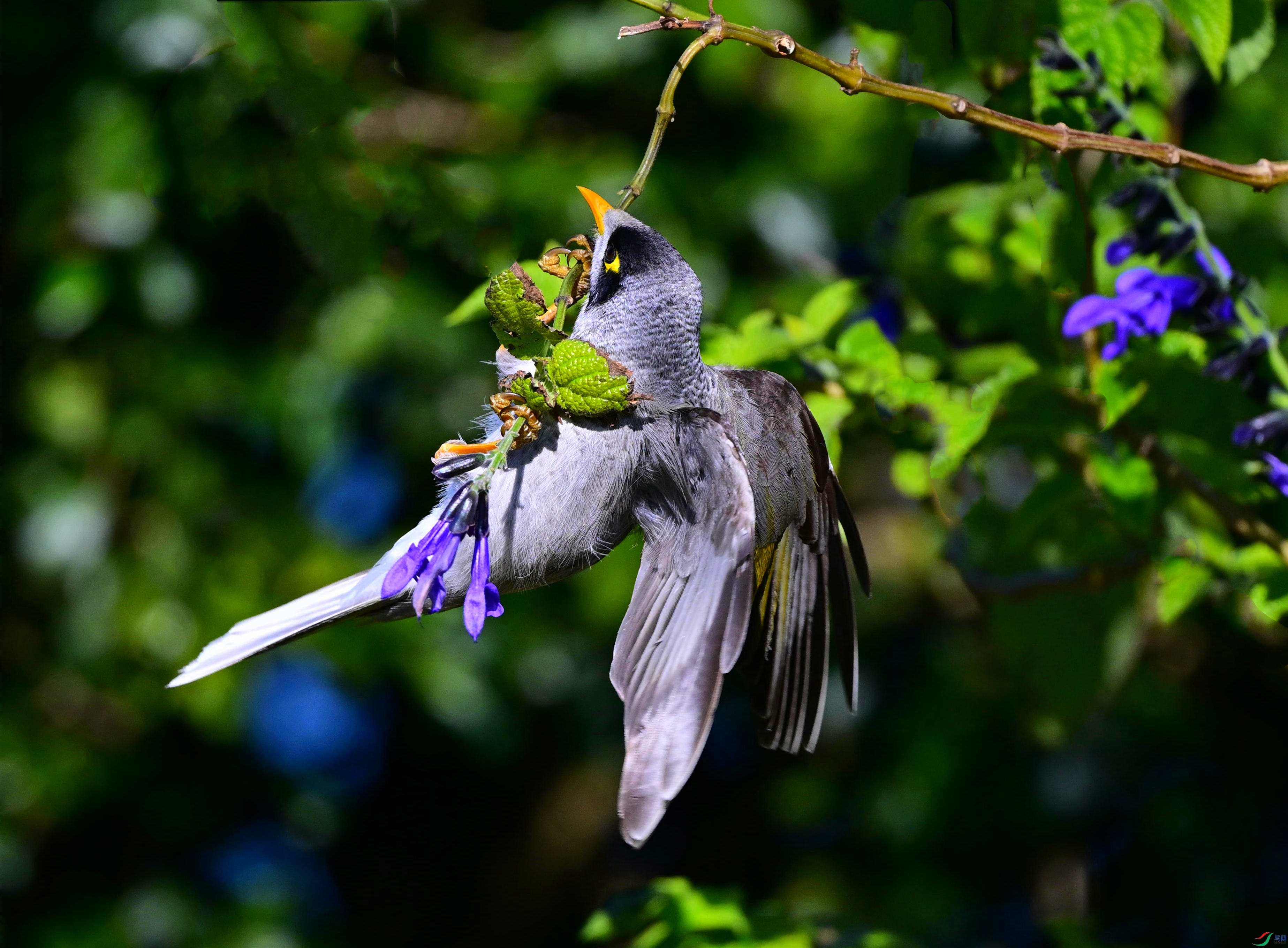 DSC_7786_��ͼ��_����.jpg