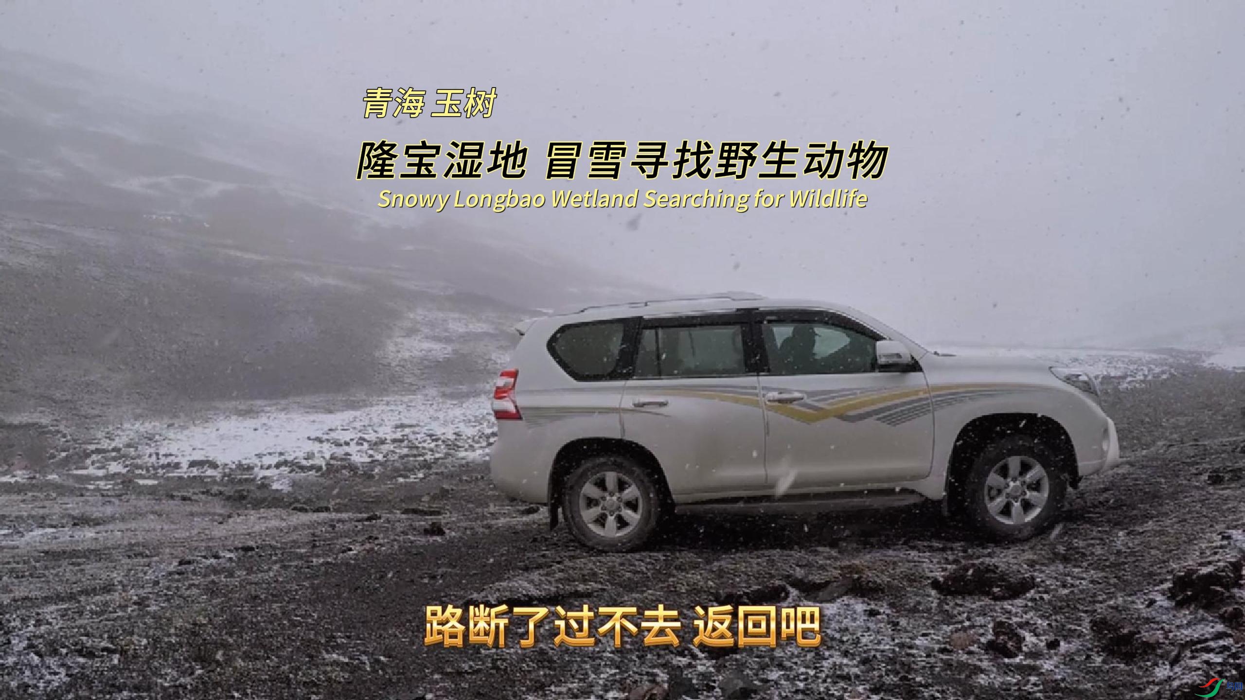 ���� ¡��ʪ�� ðѩѰ��Ұ������-����.jpg