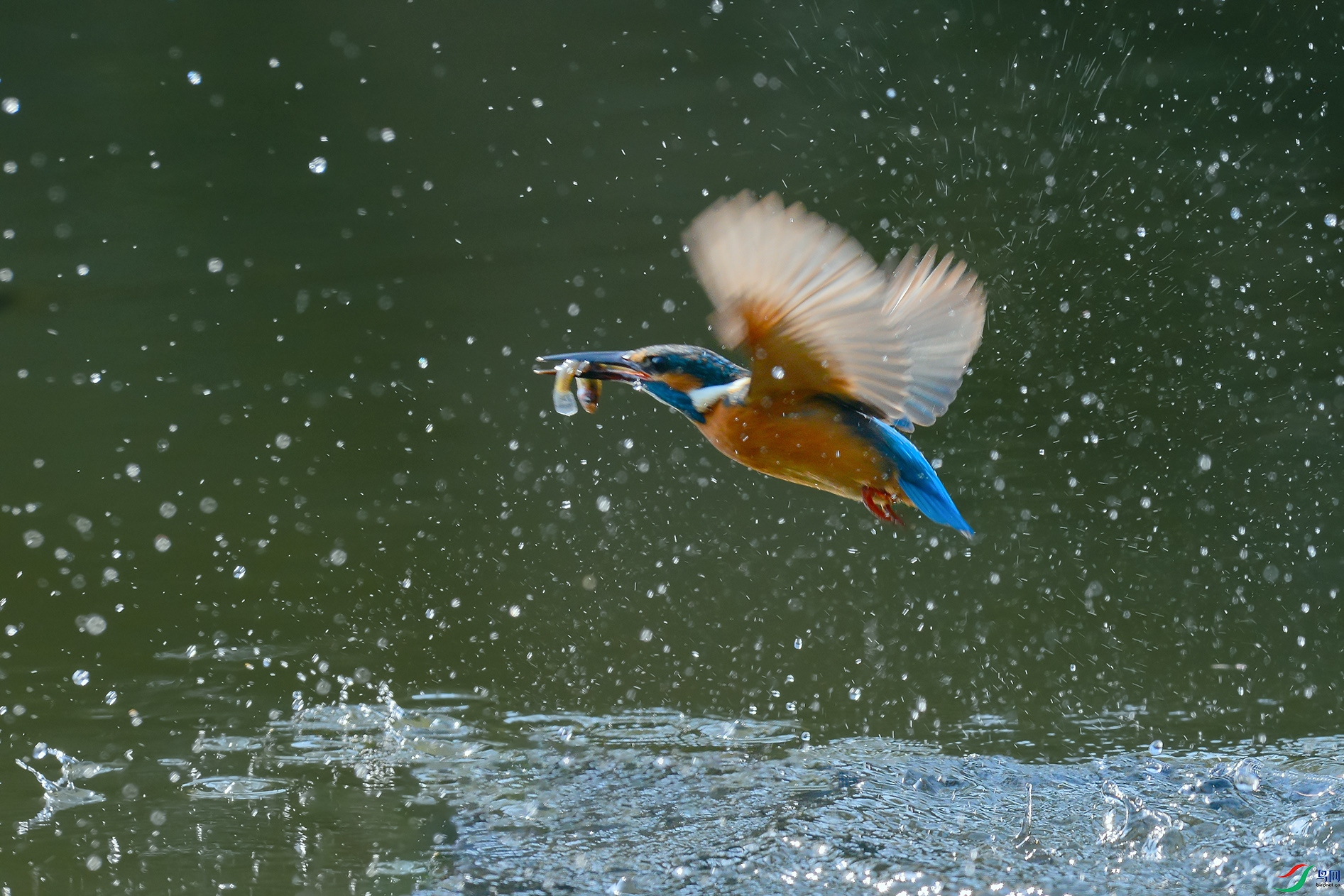 DSC_0108_DxOa.jpg