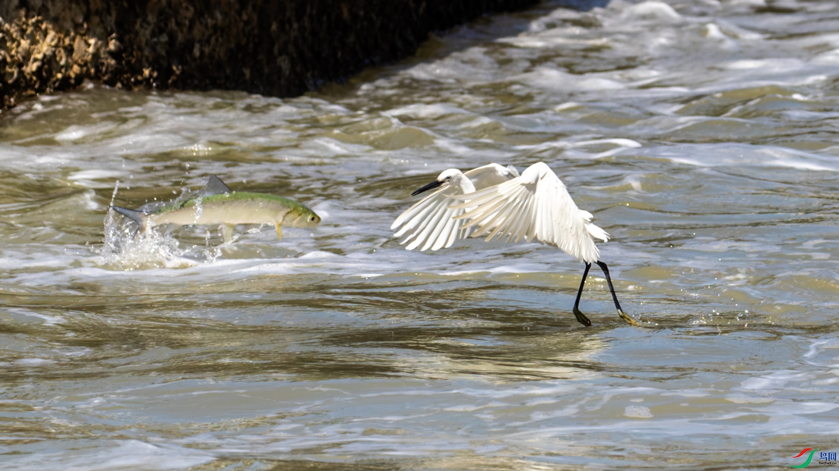 _R2I0620-CR2_DxO_DeepPRIME.jpg