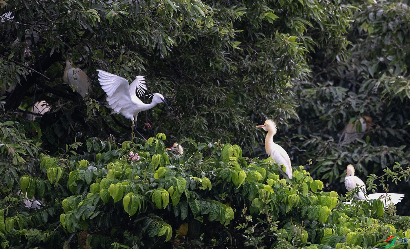 DSC_5073 ����.jpg