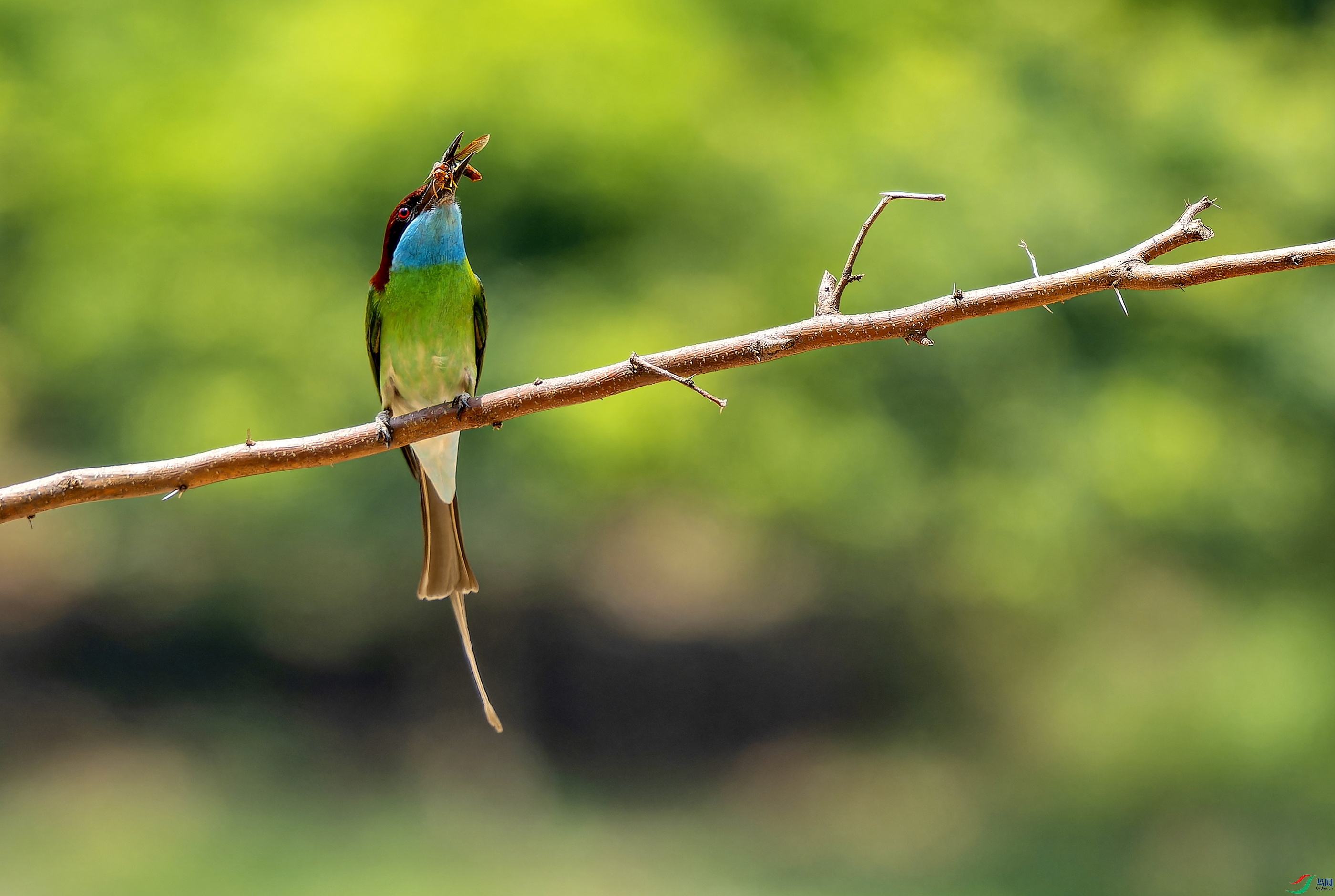 �����仢-4 (3975)-01.jpg