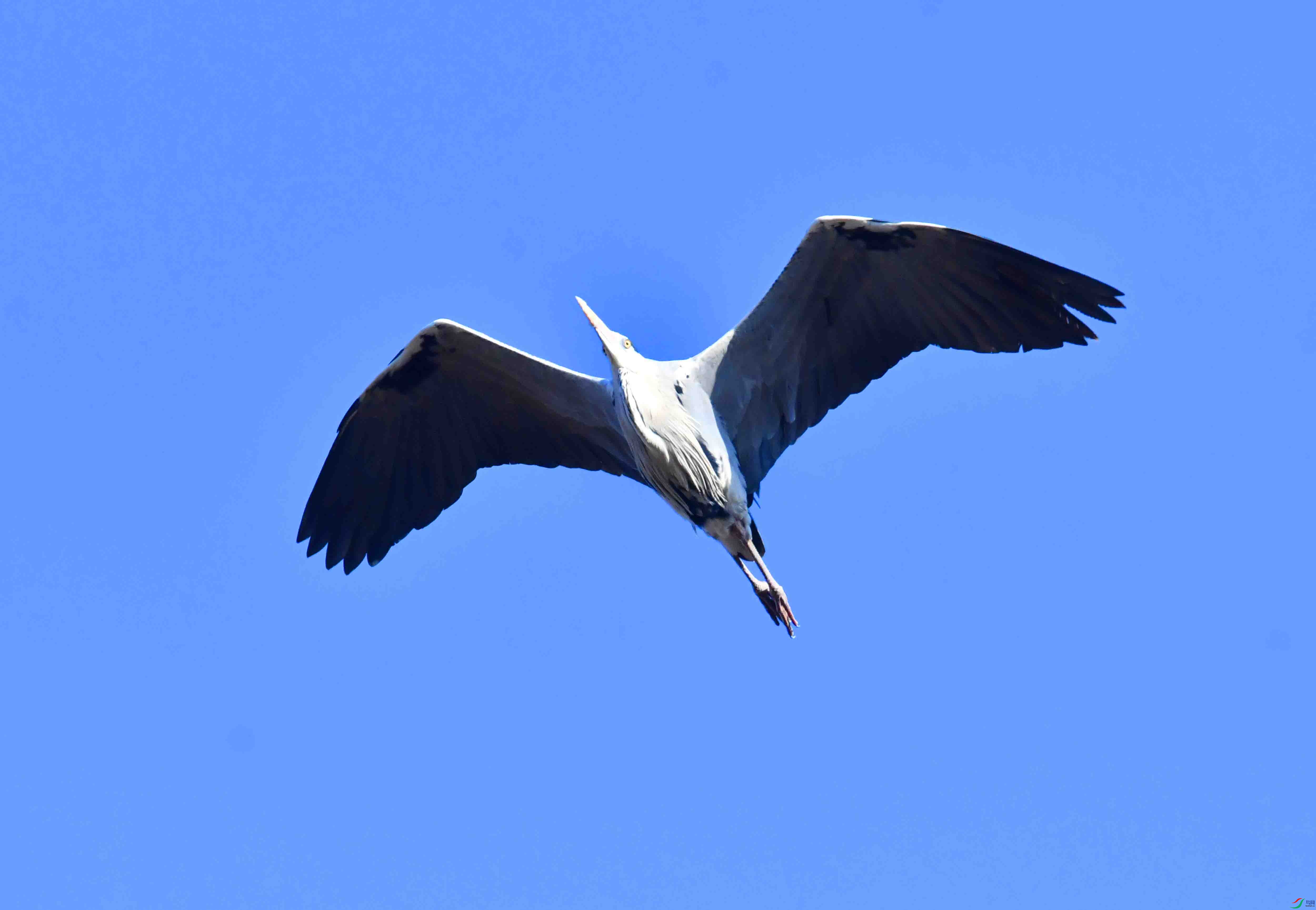DSC_1264.JPG