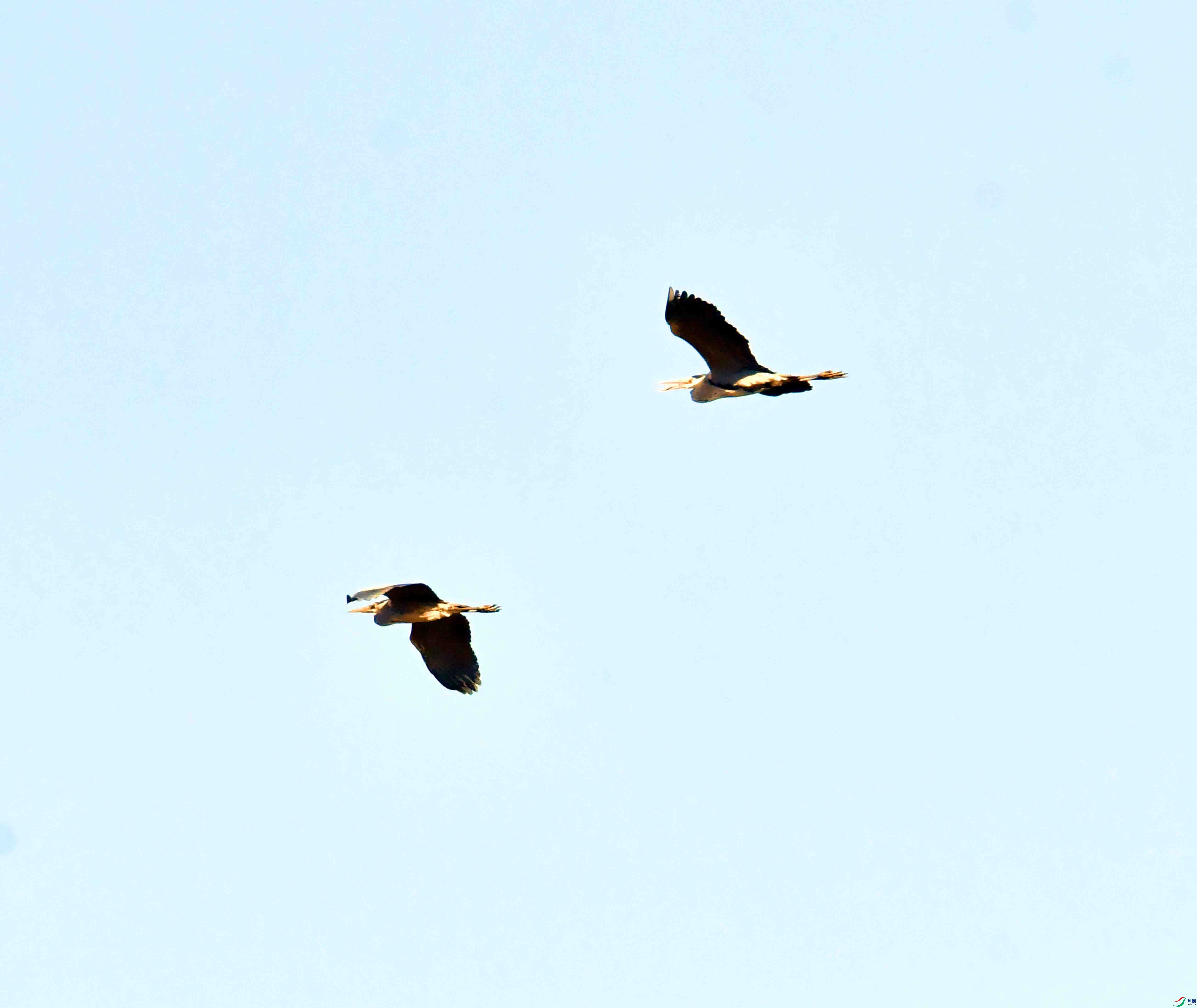 DSC_1758.JPG