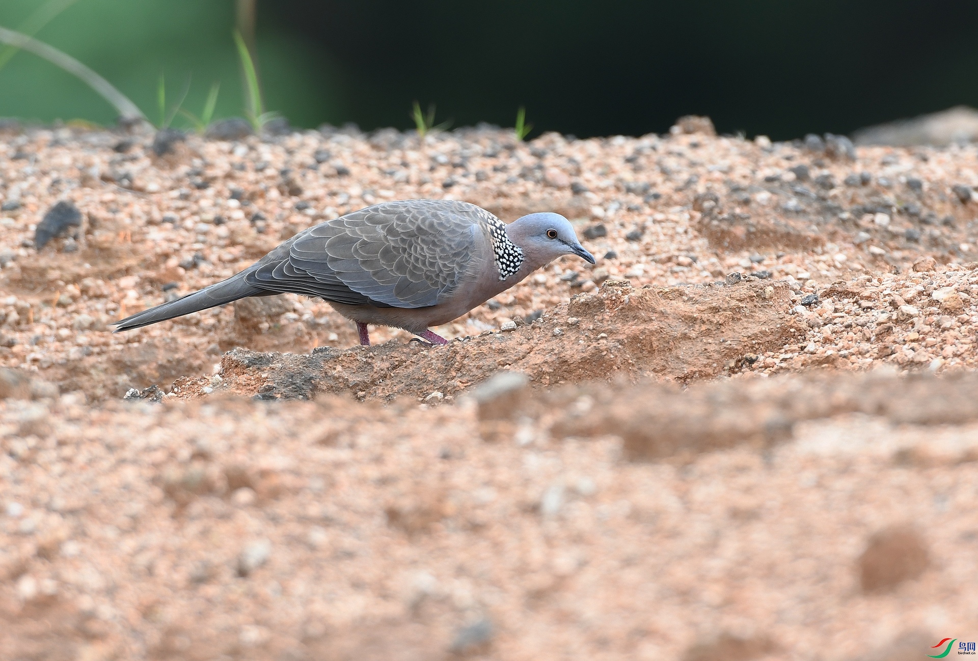 DSC_5688.jpg