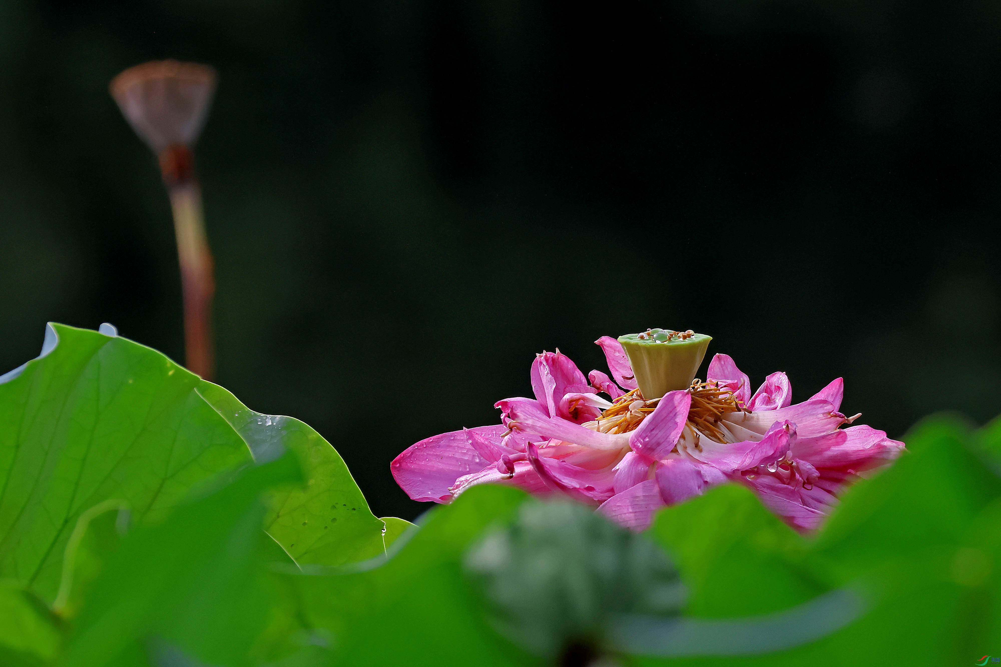2G9A8325.JPG
