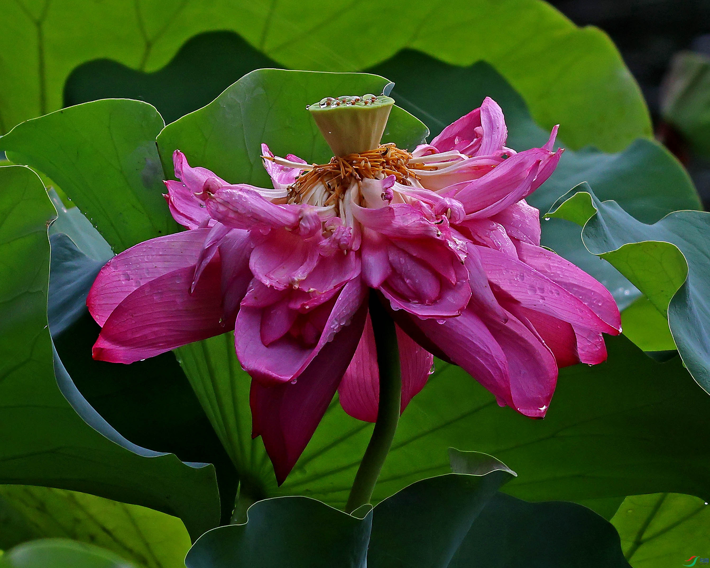 2G9A8328.JPG